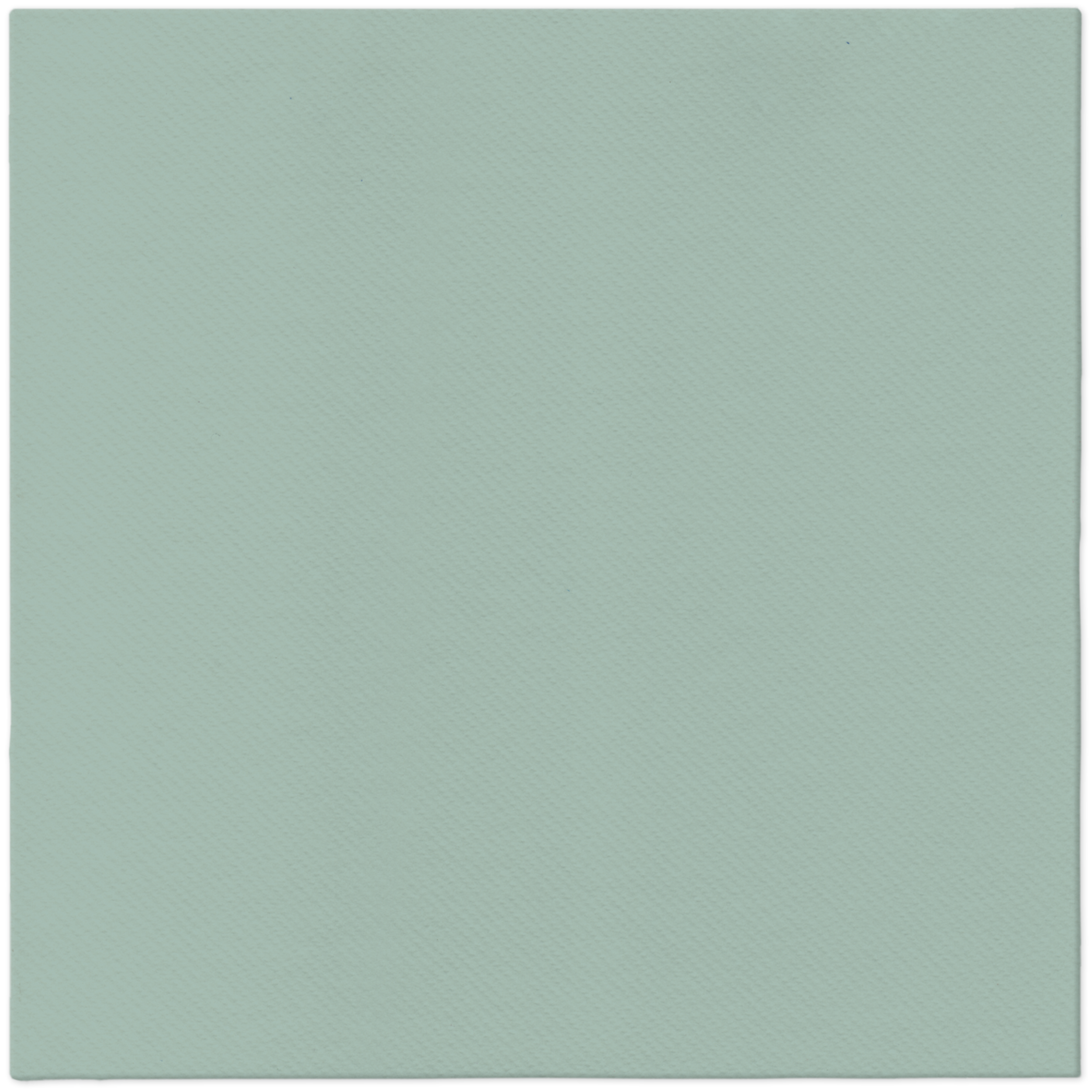 Serwetki Airlaid Light Green 40 x 40 cm 12 szt.