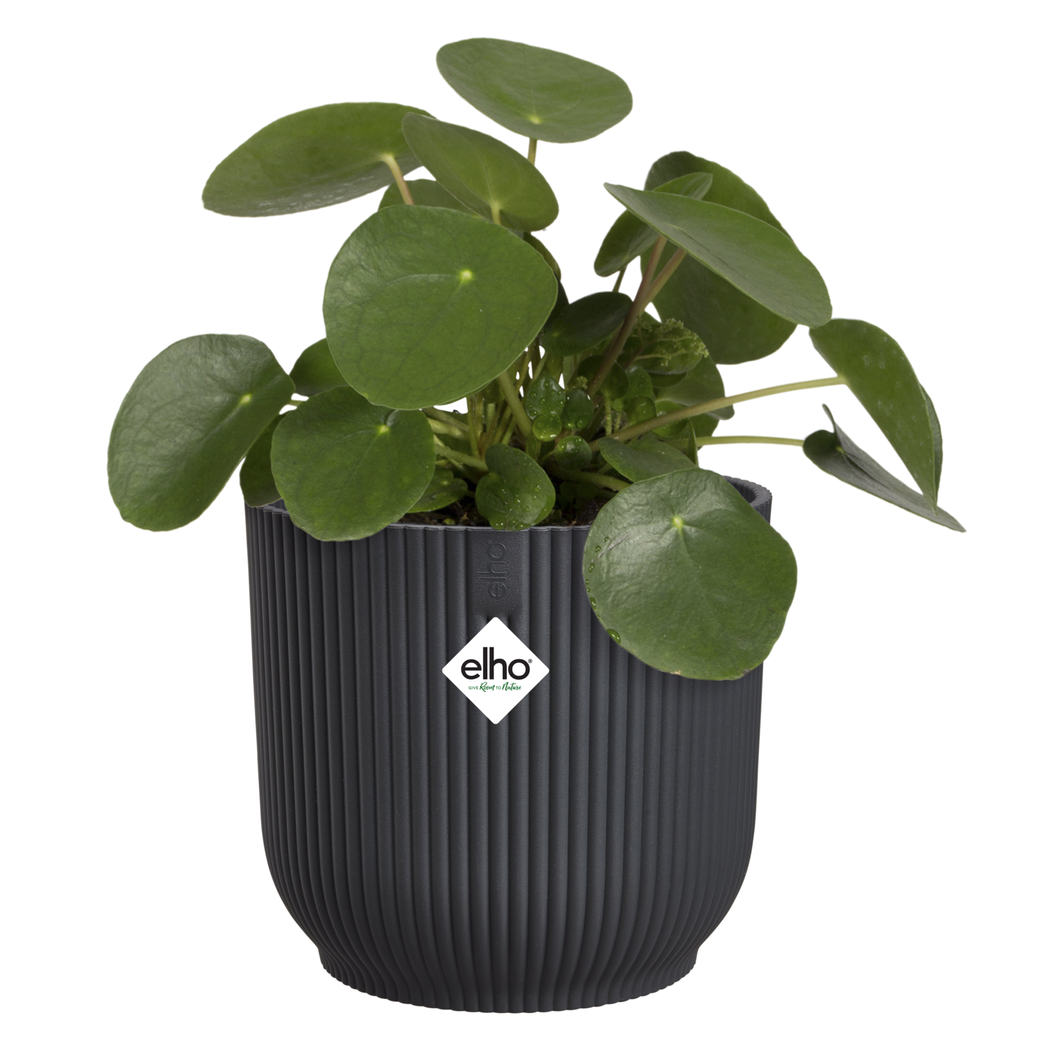 Cache-pot polypropylène ELHO 2501301442500 Diam.14 L.14 x l.14.1 x H.12.9 cm noi - 4