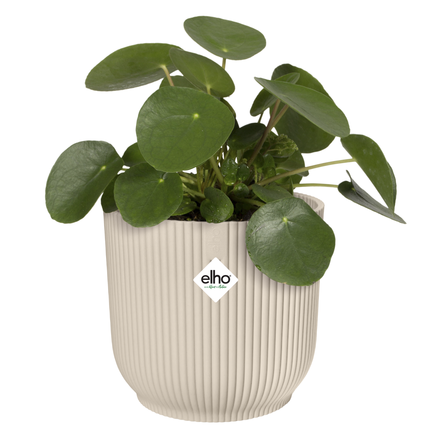 Cache-pot polypropylène ELHO 2501301445200 Diam.14 L.14 x l.14.1 x H.12.9 cm bla - 4