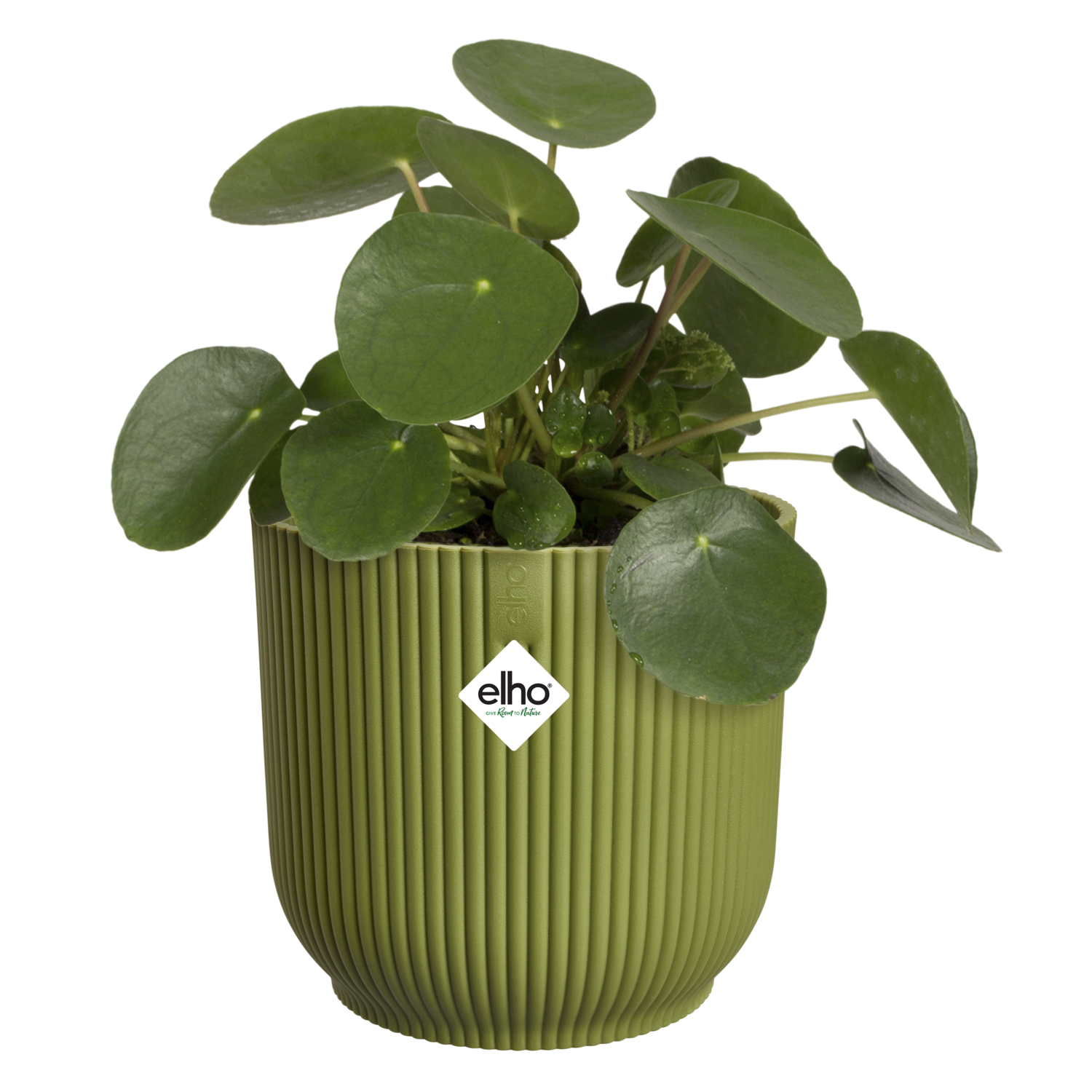 Cache-pot polypropylène ELHO 2501301487000 Diam.14 L.14 x l.14.1 x H.12.9 cm ver - 4