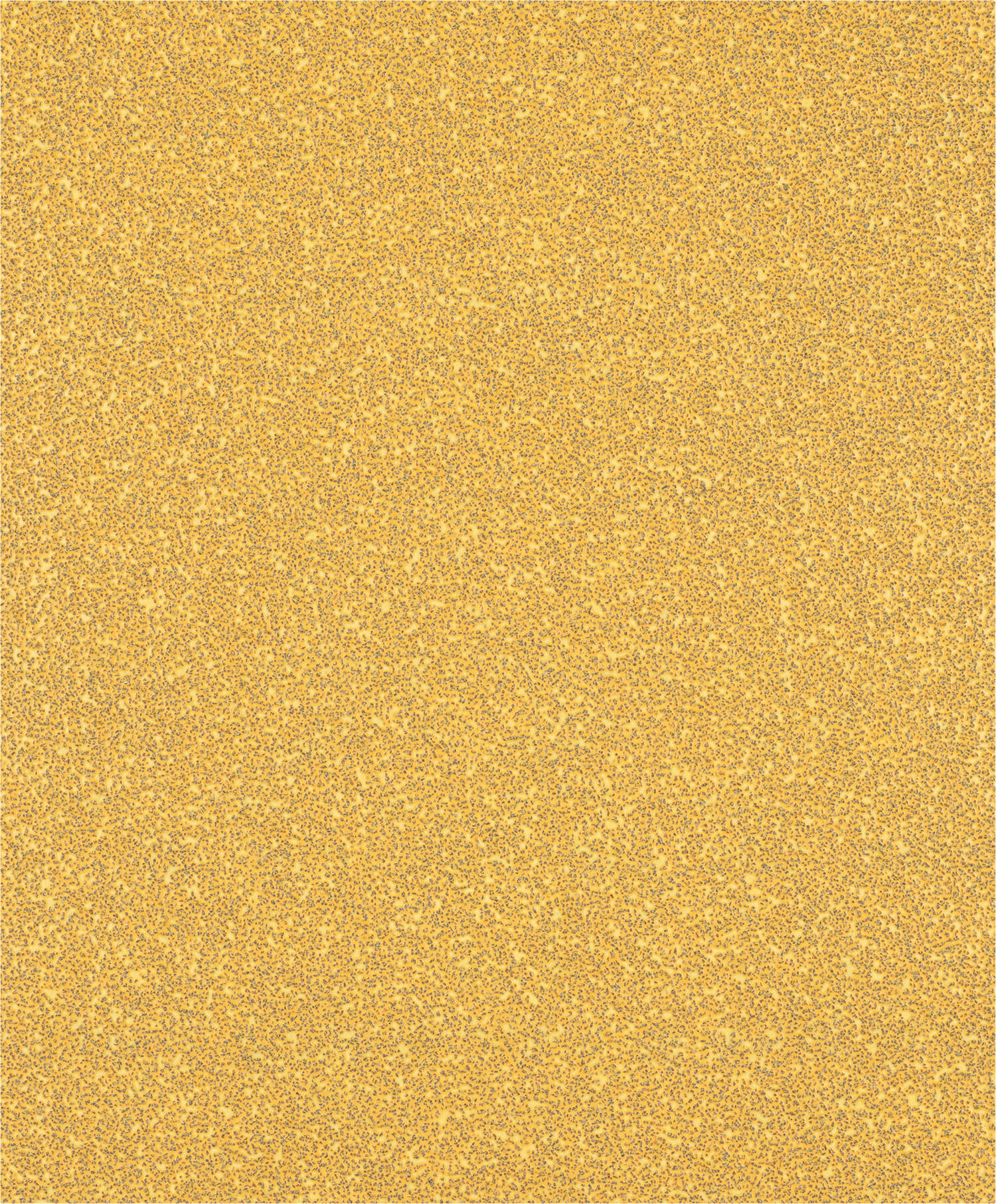 voir le variant Type de grain 40