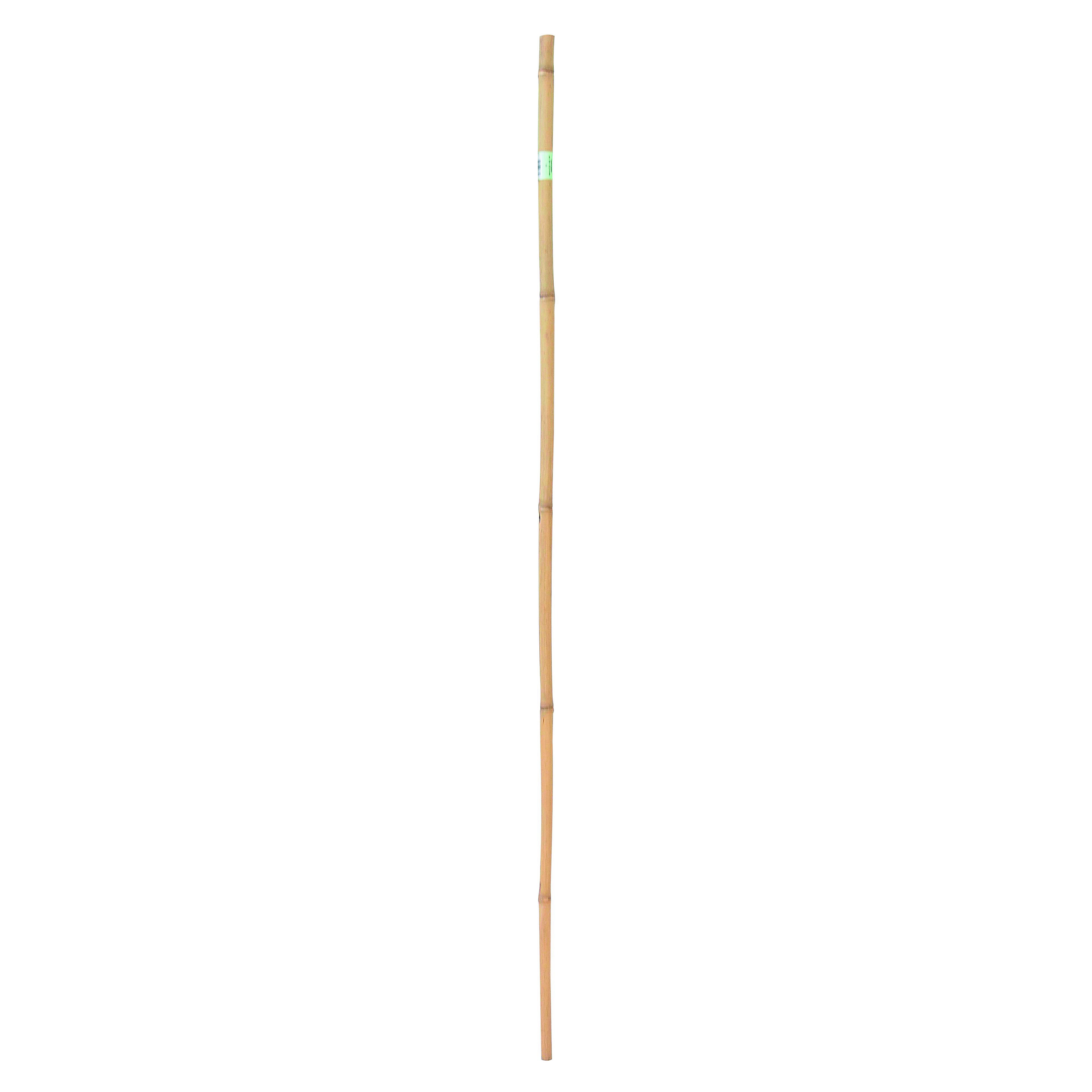25 Canne In Bamb&ugrave; Naturale Per Orto - H 210cm Diametro 22/24 Mm - Paletti Per Piante