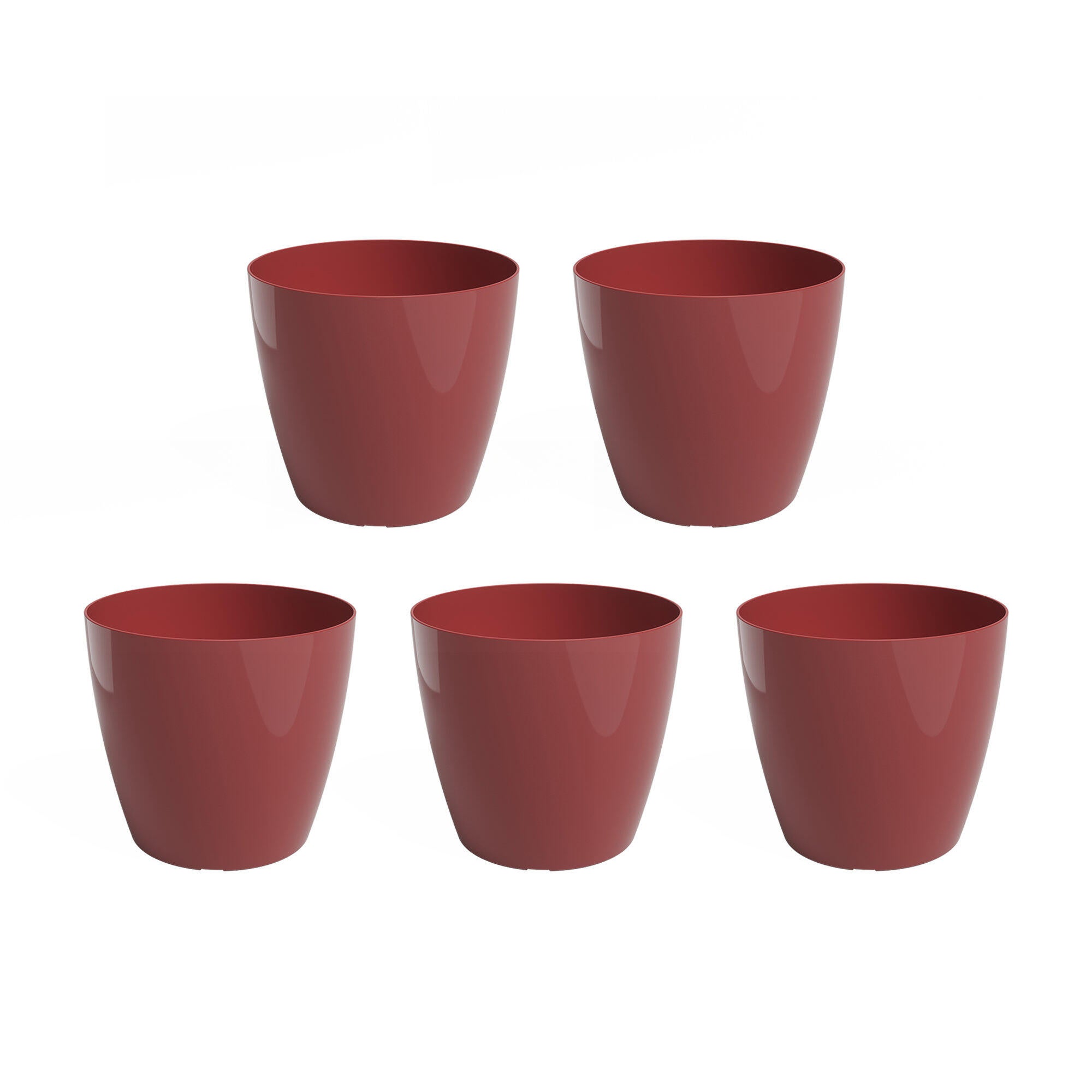 Rojo