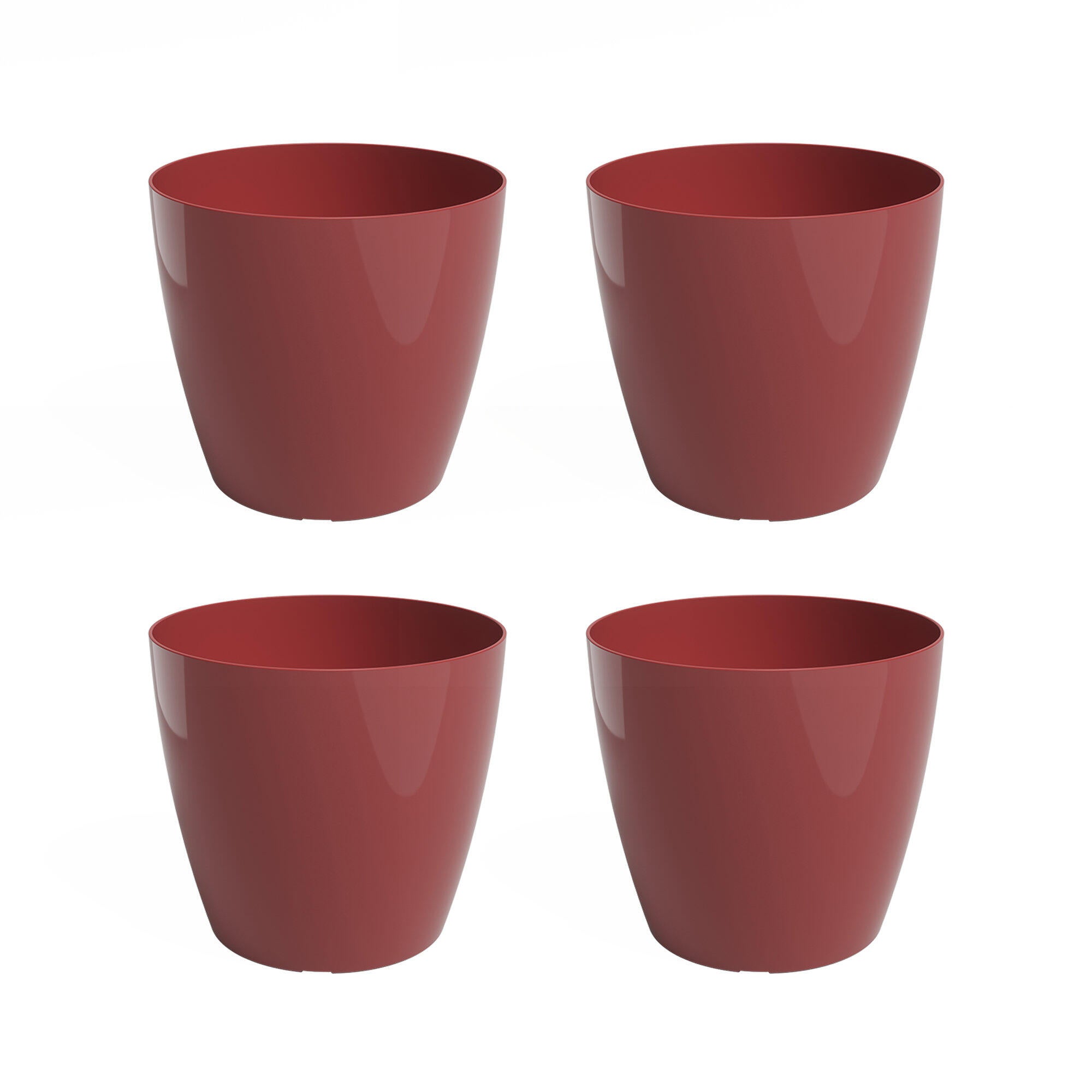 Rojo