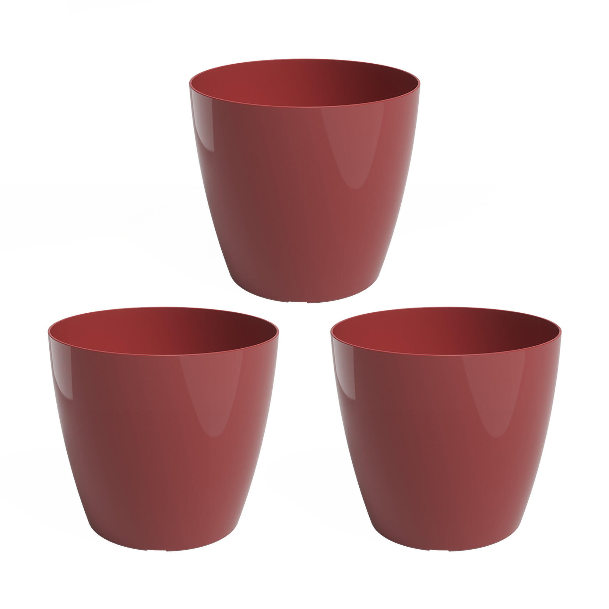 Rojo