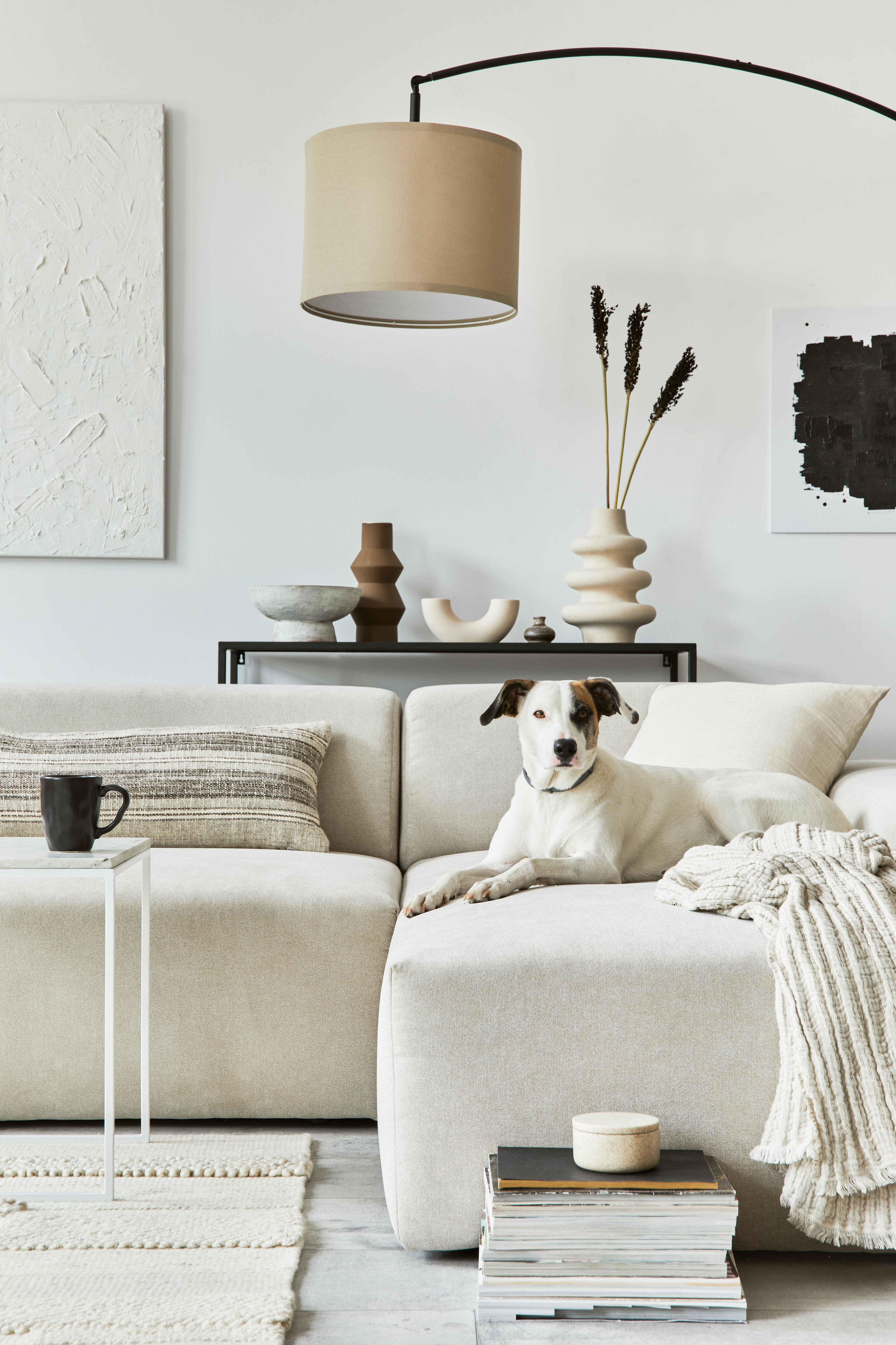 Pintura de interior Diamante Valon VALENTINE color blanco mate profundo 15L para paredes y techos - 2