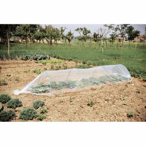 Protezioni Per Piante Da 96 Pezzi - Coni In PVC Contro Ghiaccio, Lumache E Uccelli Per Orto E Giardino - Foto 6