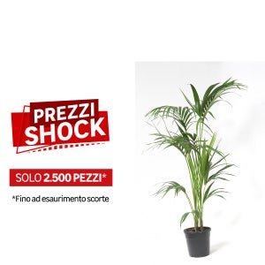 Vaso Di Fiori Rettangolare In Pietra Grigio Da Giardino 56 X 80 X 56 Cm Edessa Grigio 20203416