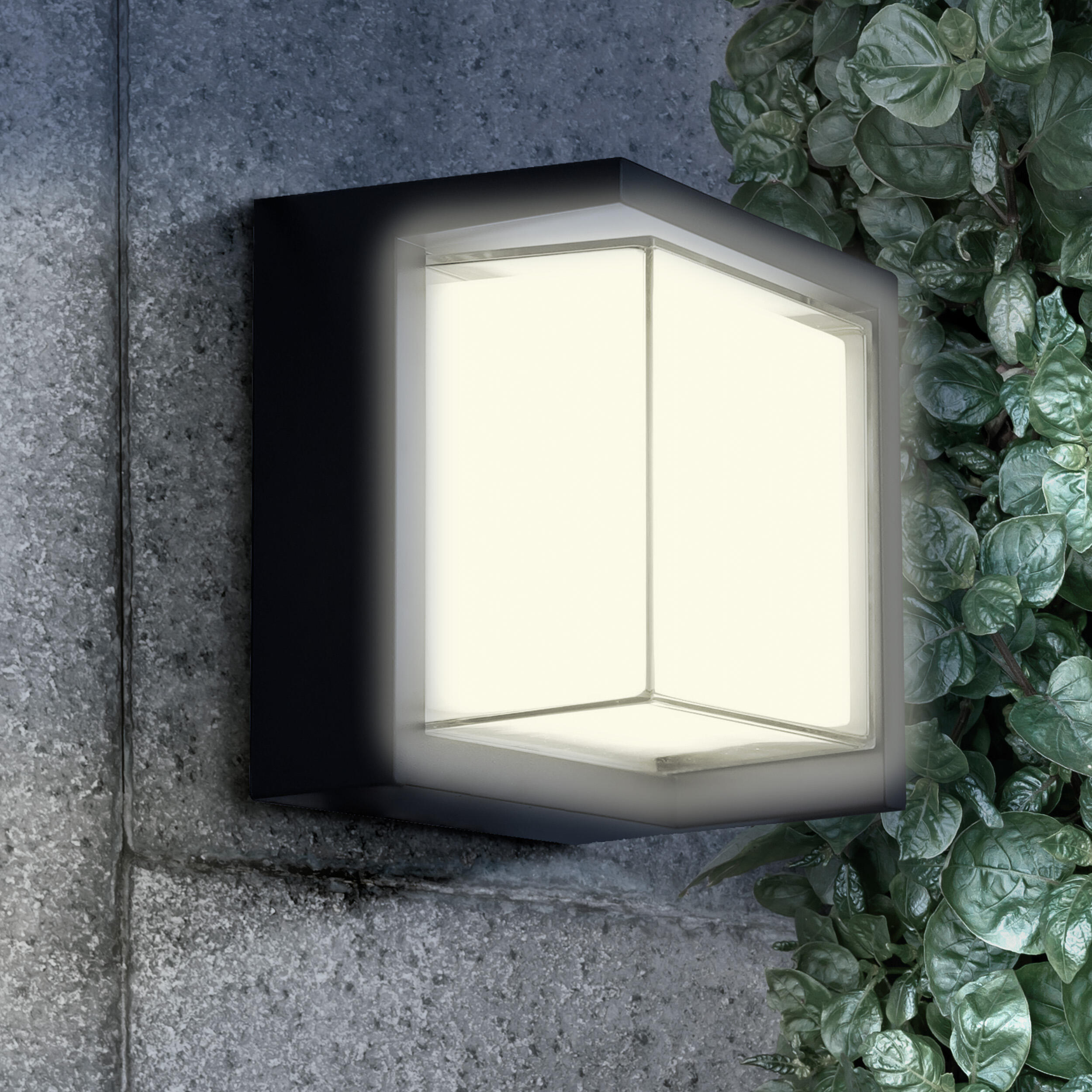 Kinkiet zewnętrzny Essen czarny IP44 LED Goldlux - 3