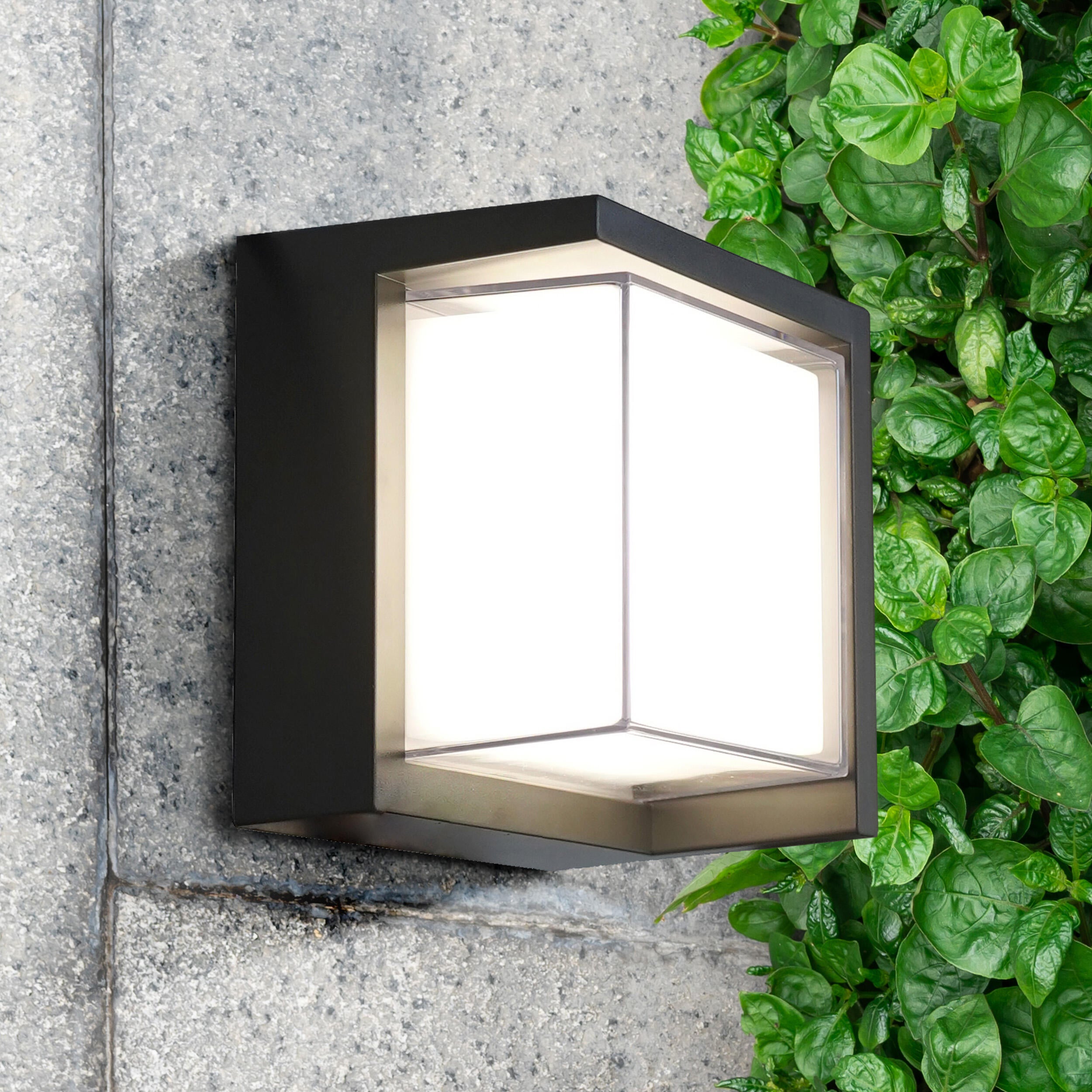 Kinkiet zewnętrzny Essen czarny IP44 LED Goldlux - 2