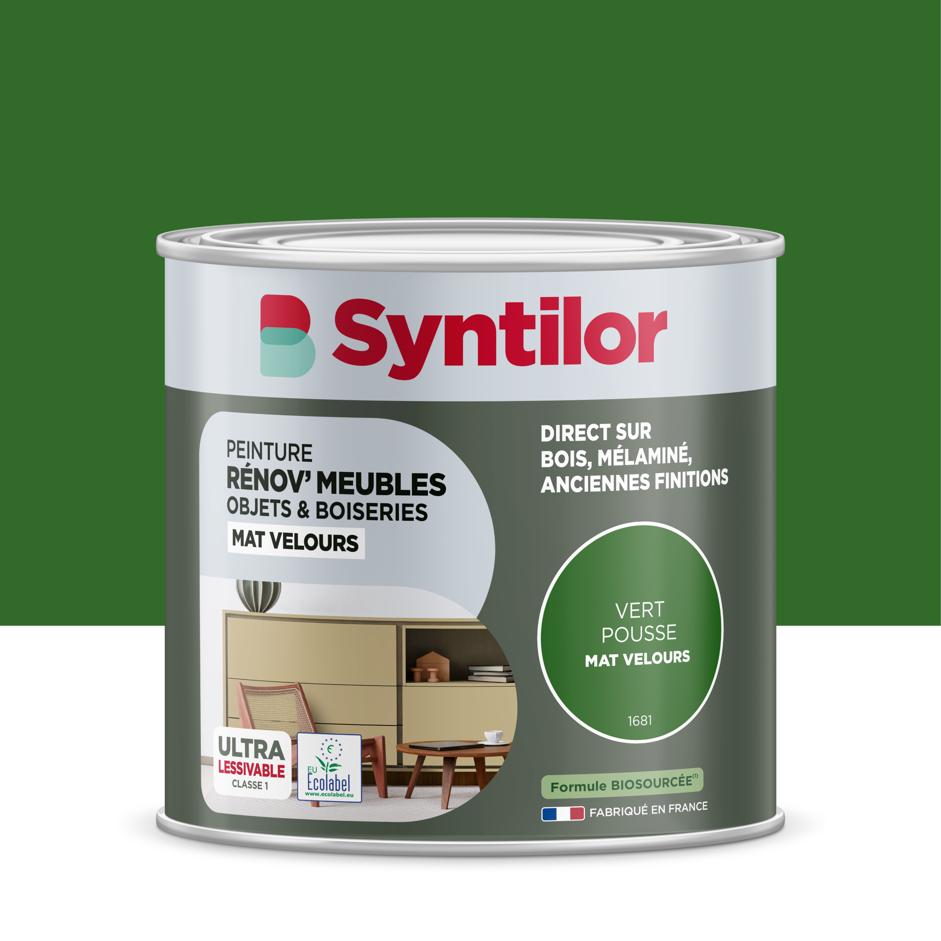 Peinture meuble et objet Rénov SYNTILOR vert mat velours 0.5L | Leroy ...
