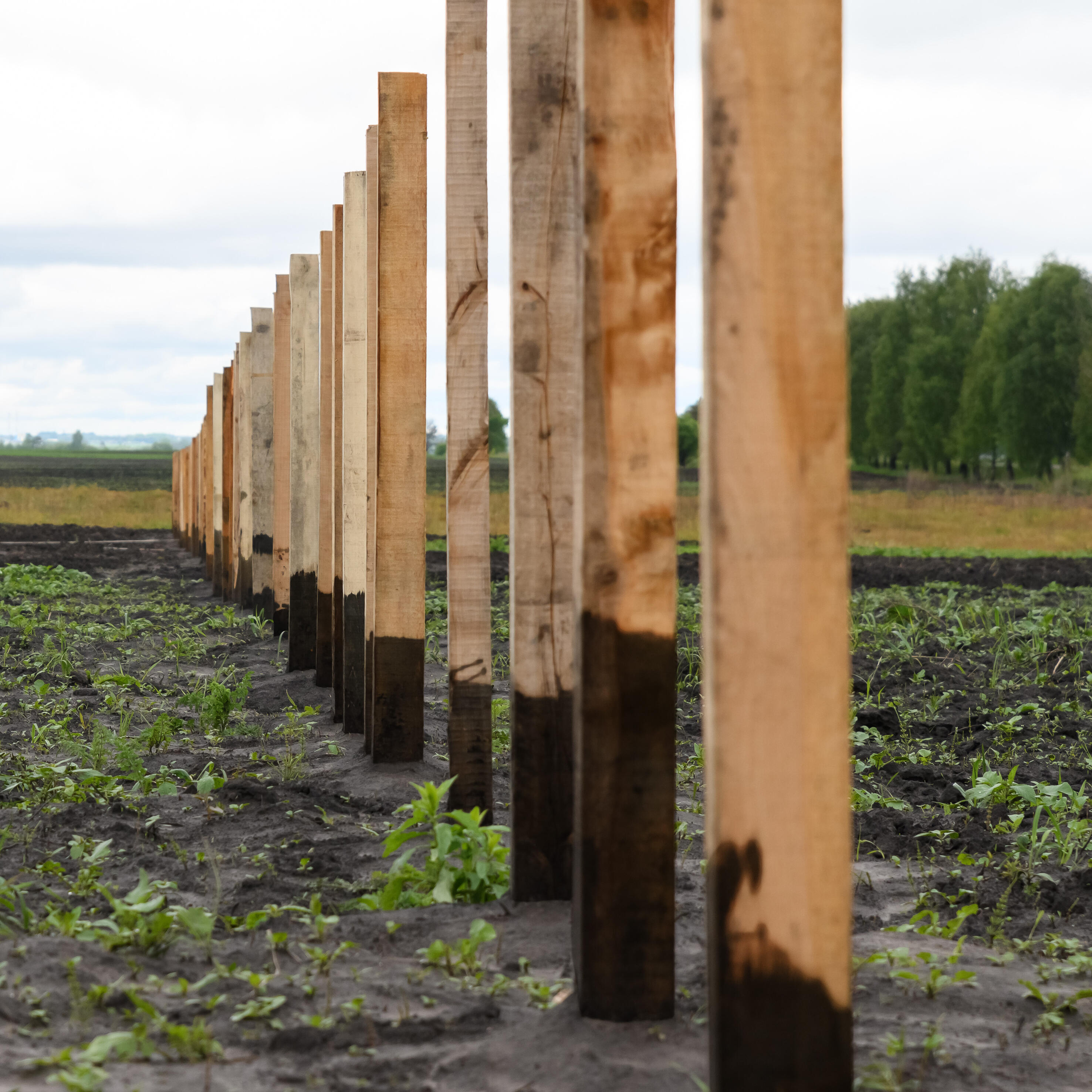 Vernis Noir protecteur exterieur, Anti humidité, anti rouille,  id 2.5 l - 2
