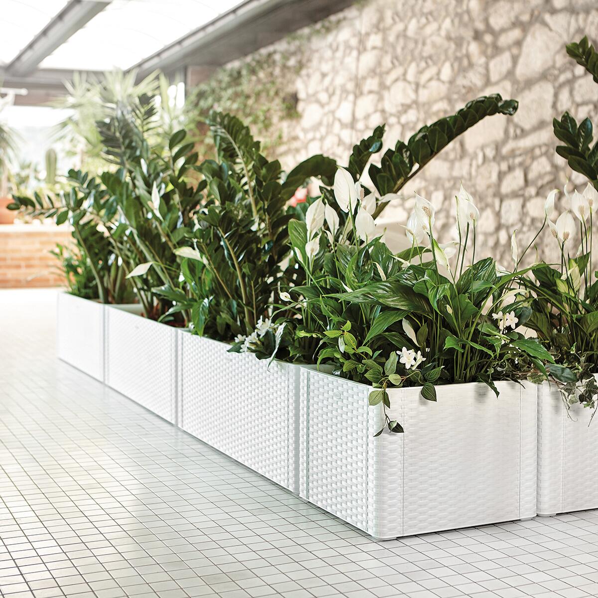 Fioriera autoirrigante Natural Deluxe STEFANPLAST in polipropilene bianco H 33 x L 100 x P 43 cm - 3