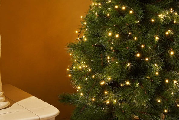 luci per il tuo albero di natale scopri di più