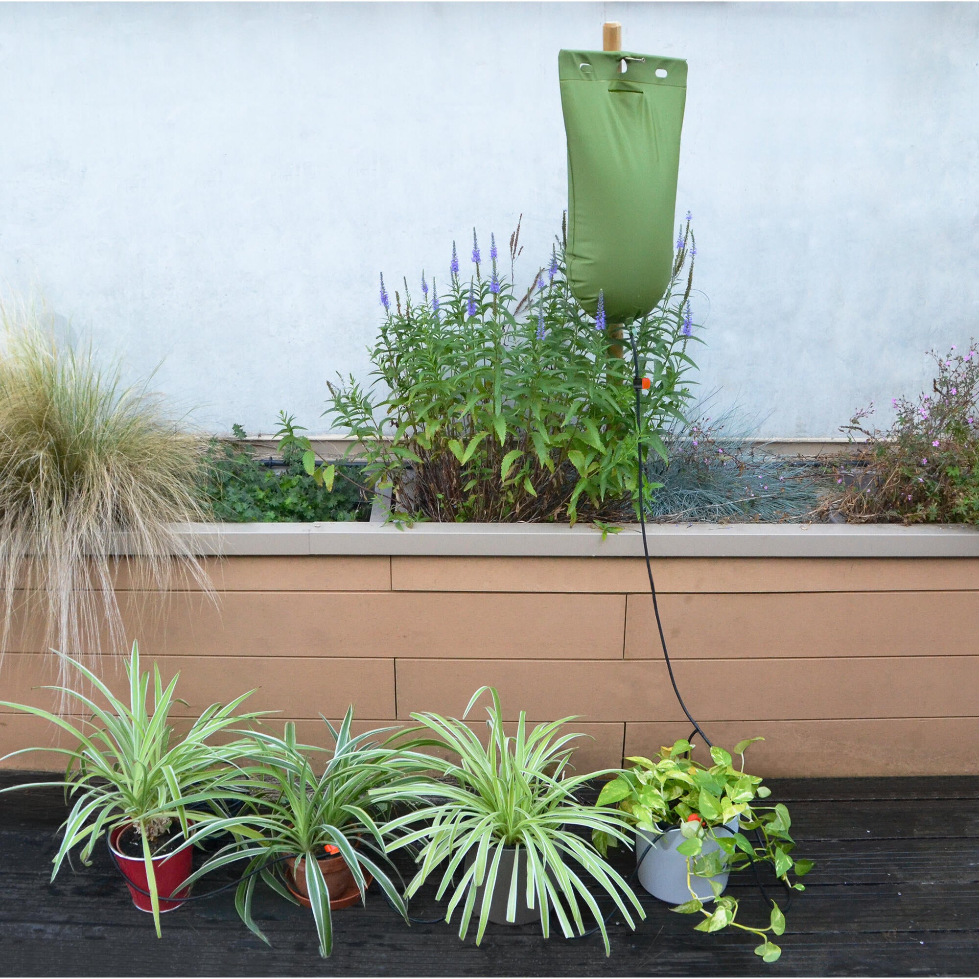 Kit irigare picurare, 6 plante, Jardibric, rezervor 10 L