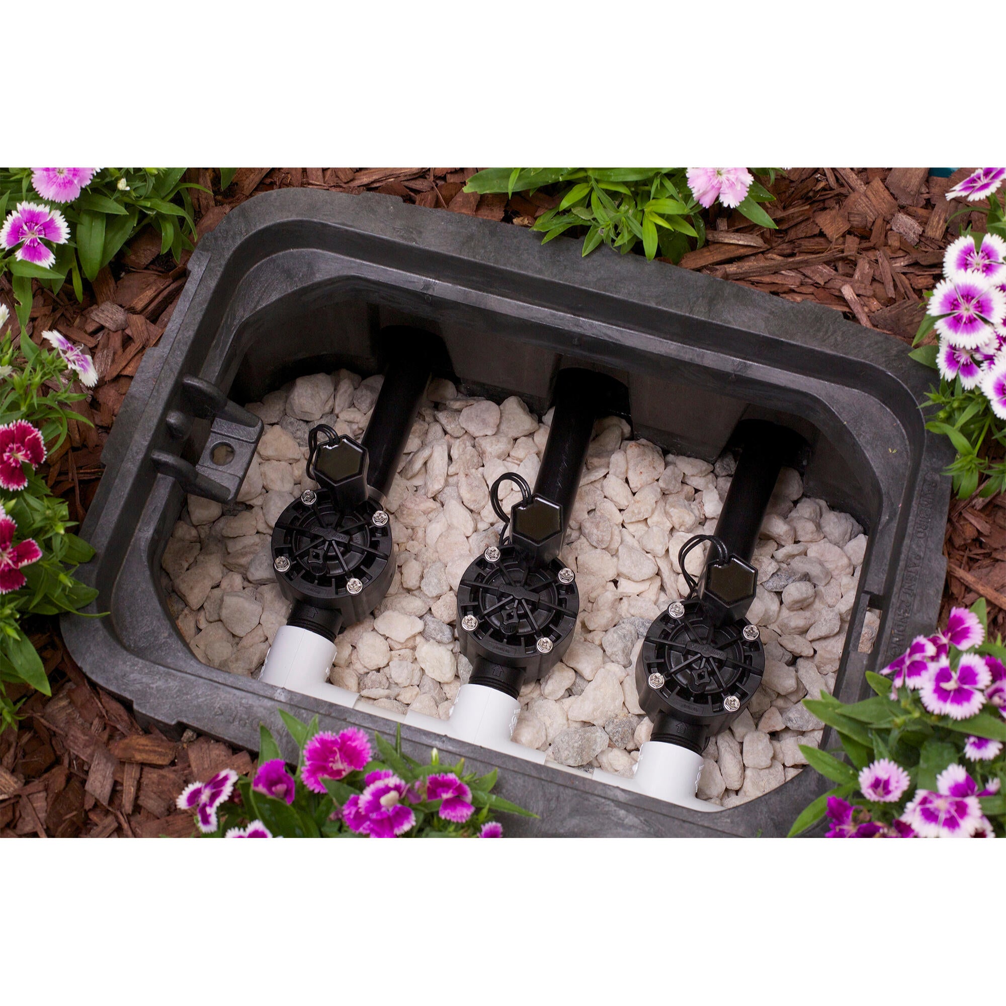 Electrovana Rain Bird, 1'' filet exterior, plastic