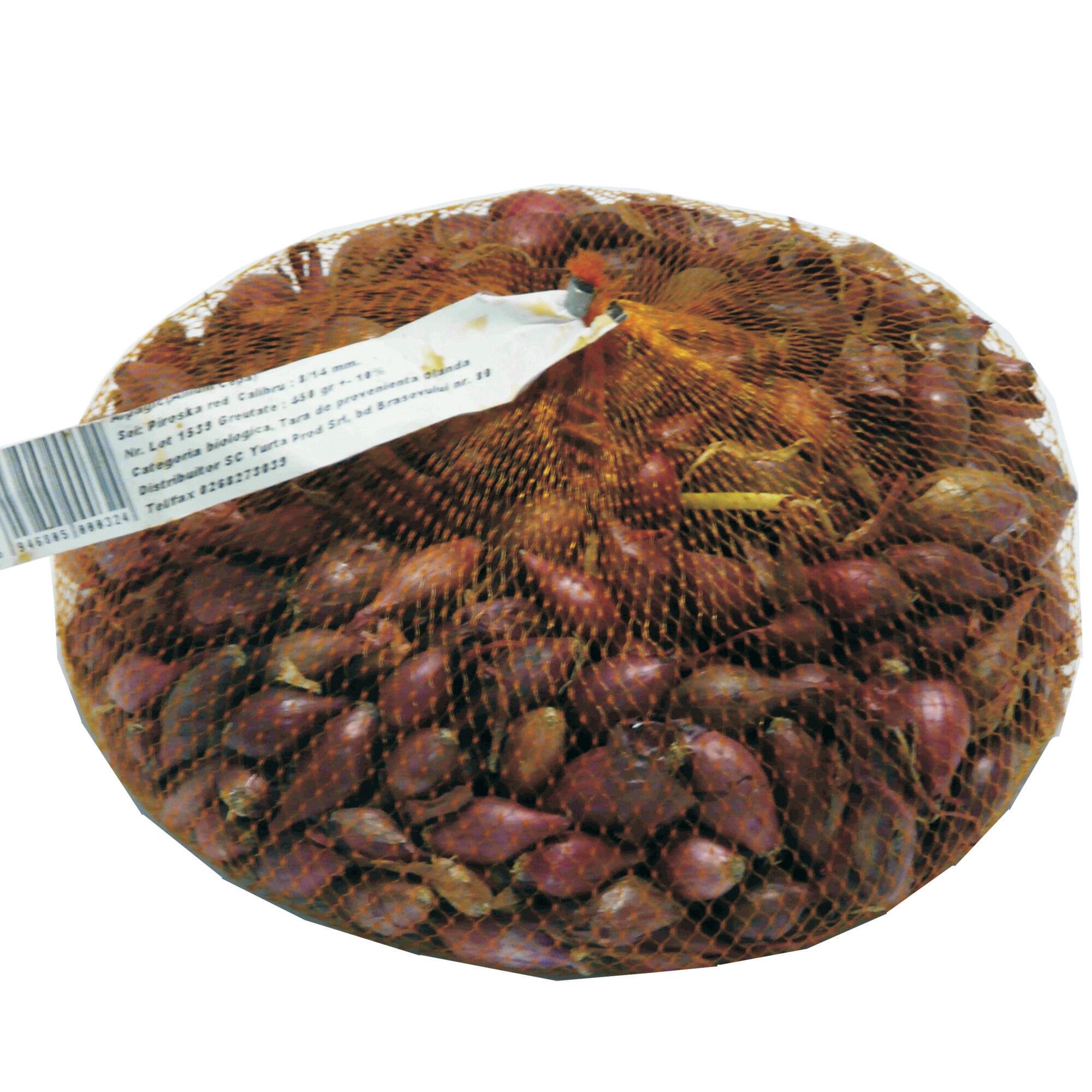 Rasad pentru plantare, soi de arpagic rosu Piroska, 8 - 21 mm, 0.45 kg