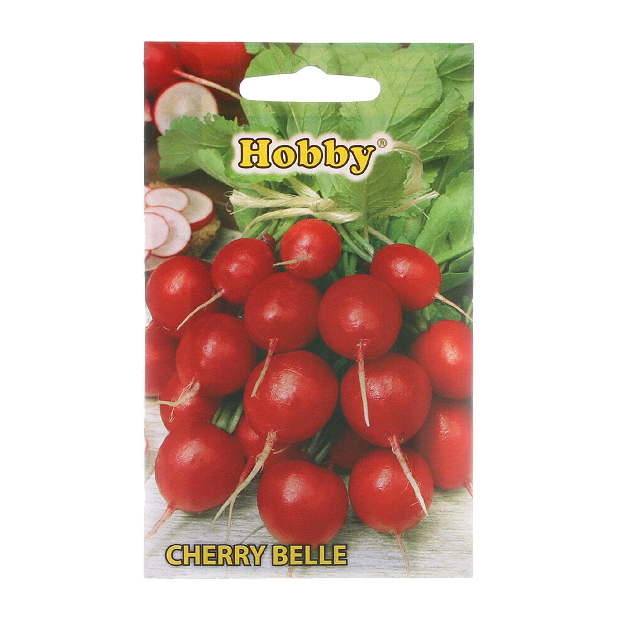 Seminte legume, ridiche Cherry Belle, Hobby