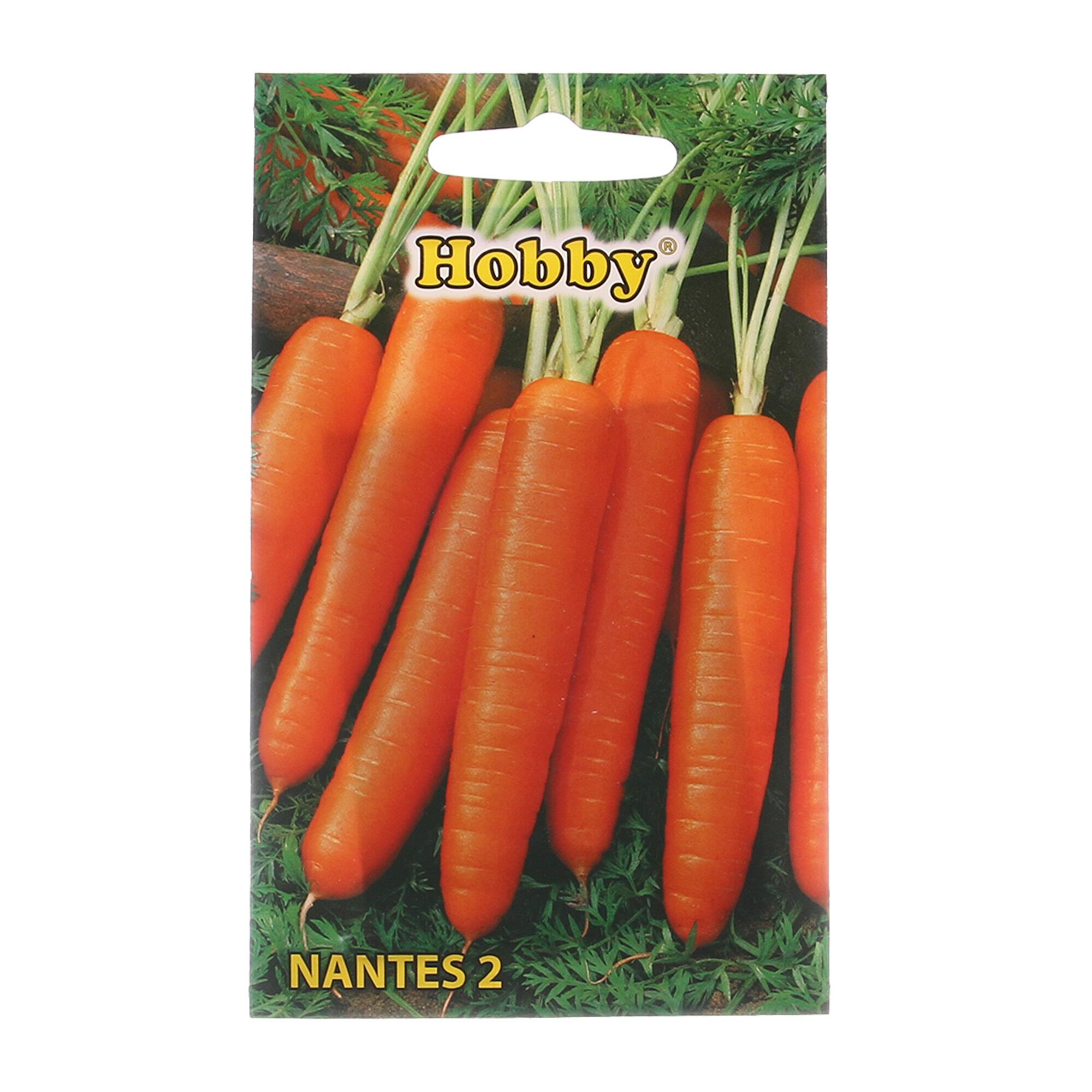 Seminte legume, morcov Nantes, Hobby