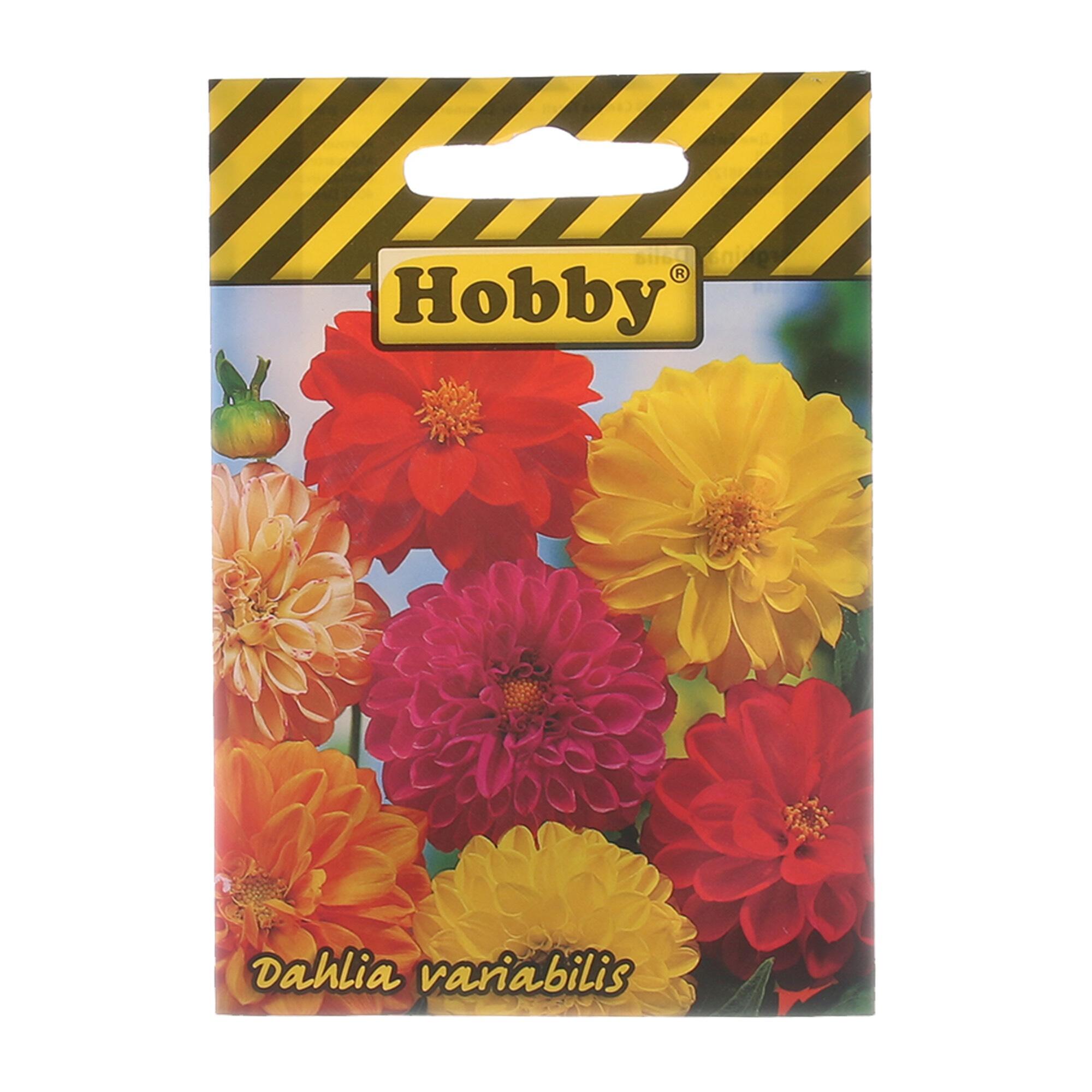 Seminte flori de primavara, dalie, amestec culori, Hobby, 0.4 g