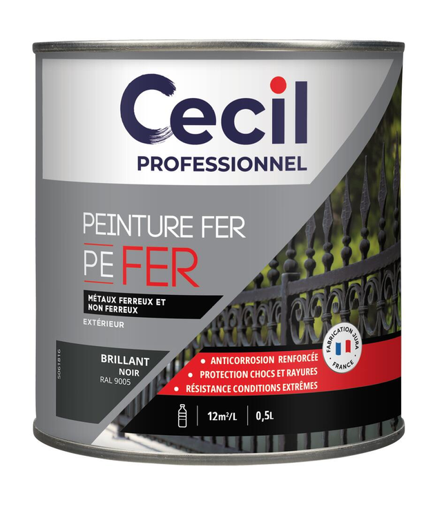 Peinture fer extérieur noir brillant 0,5 L - CECIL PRO