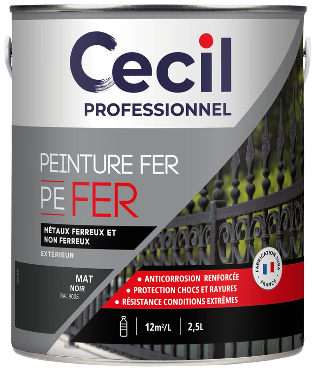 Peinture fer extérieur noir mat 2,5 L - CECIL PRO