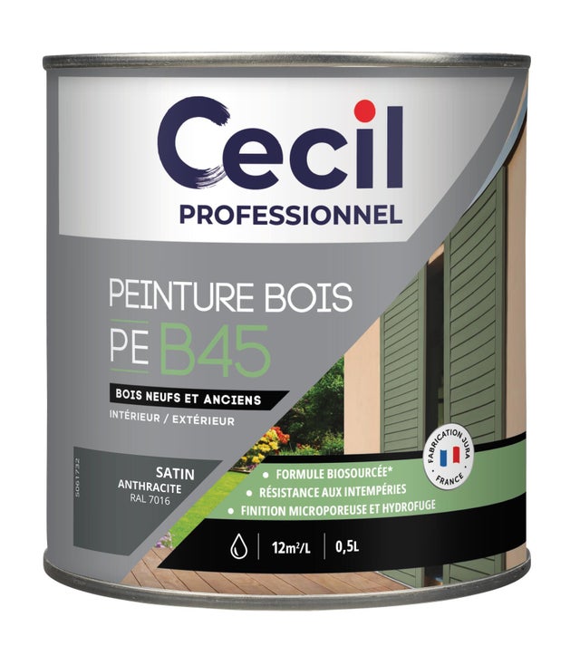 Peinture bois intérieur extérieur gris anthracite RAL 7016 satin 0,5 L - CECIL PRO