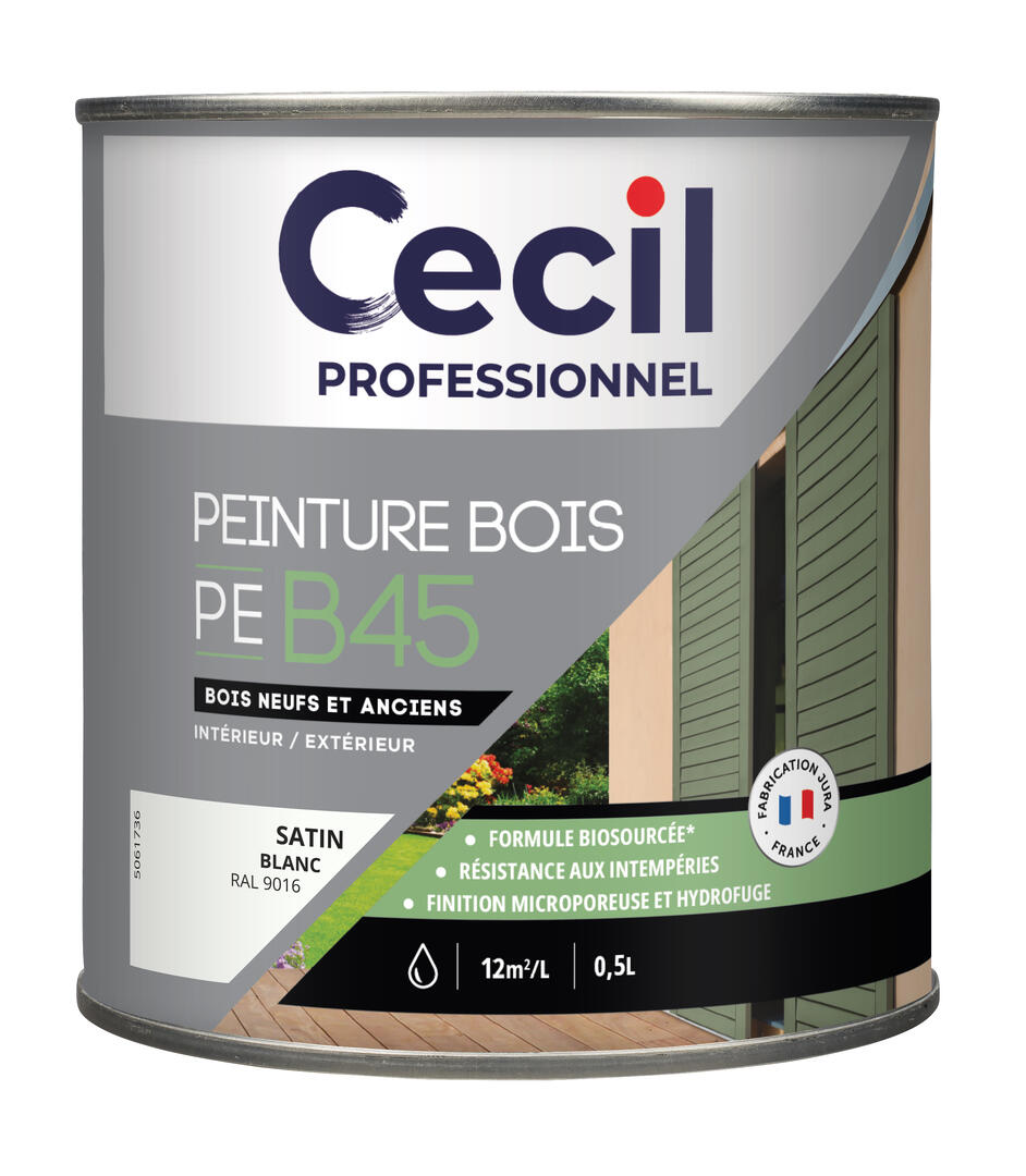 Peinture bois intérieur extérieur blanc RAL 9016 satin 0,5 L - CECIL ...