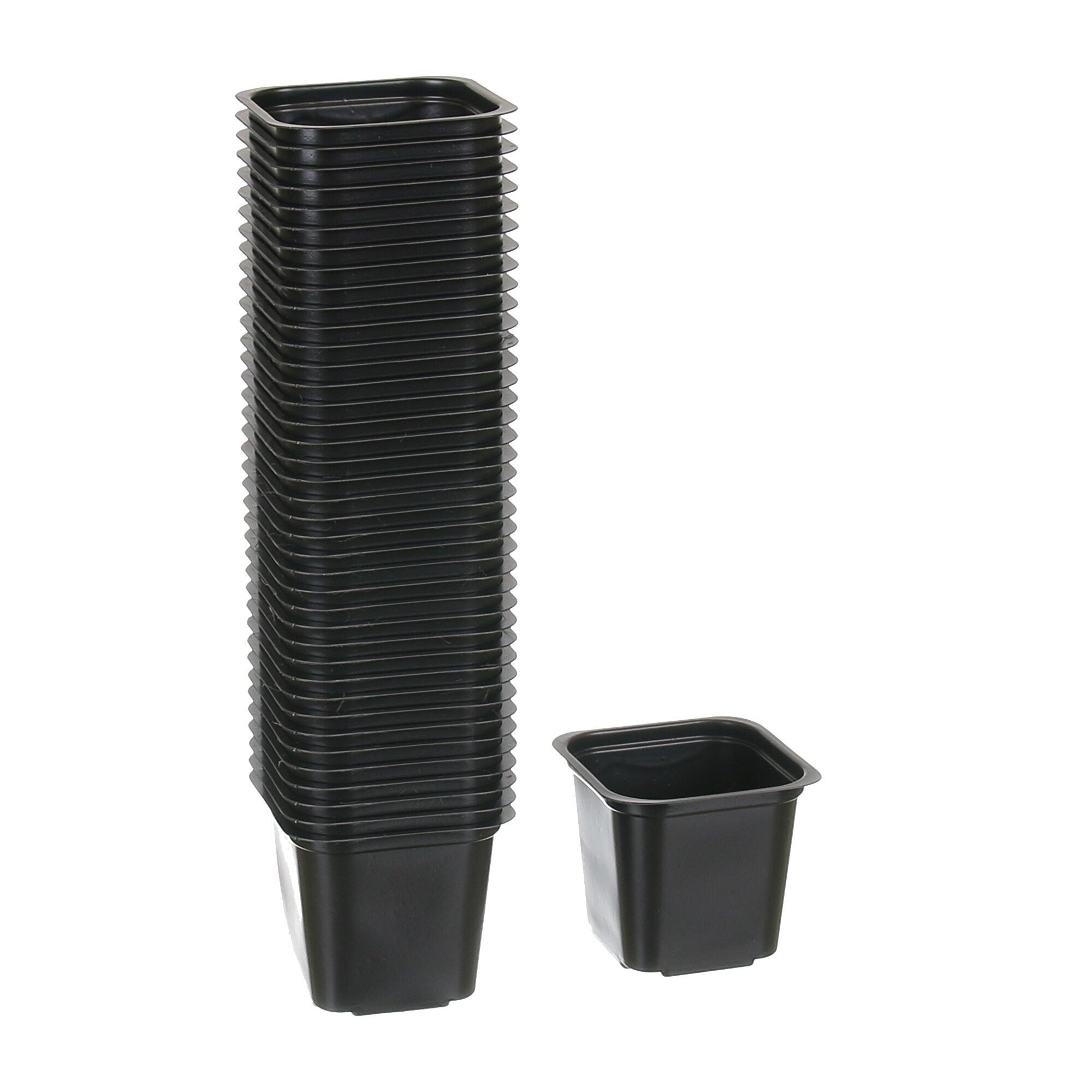 Ghiveci rasad, polipropilena, 6 x 6 cm (set 40 buc)