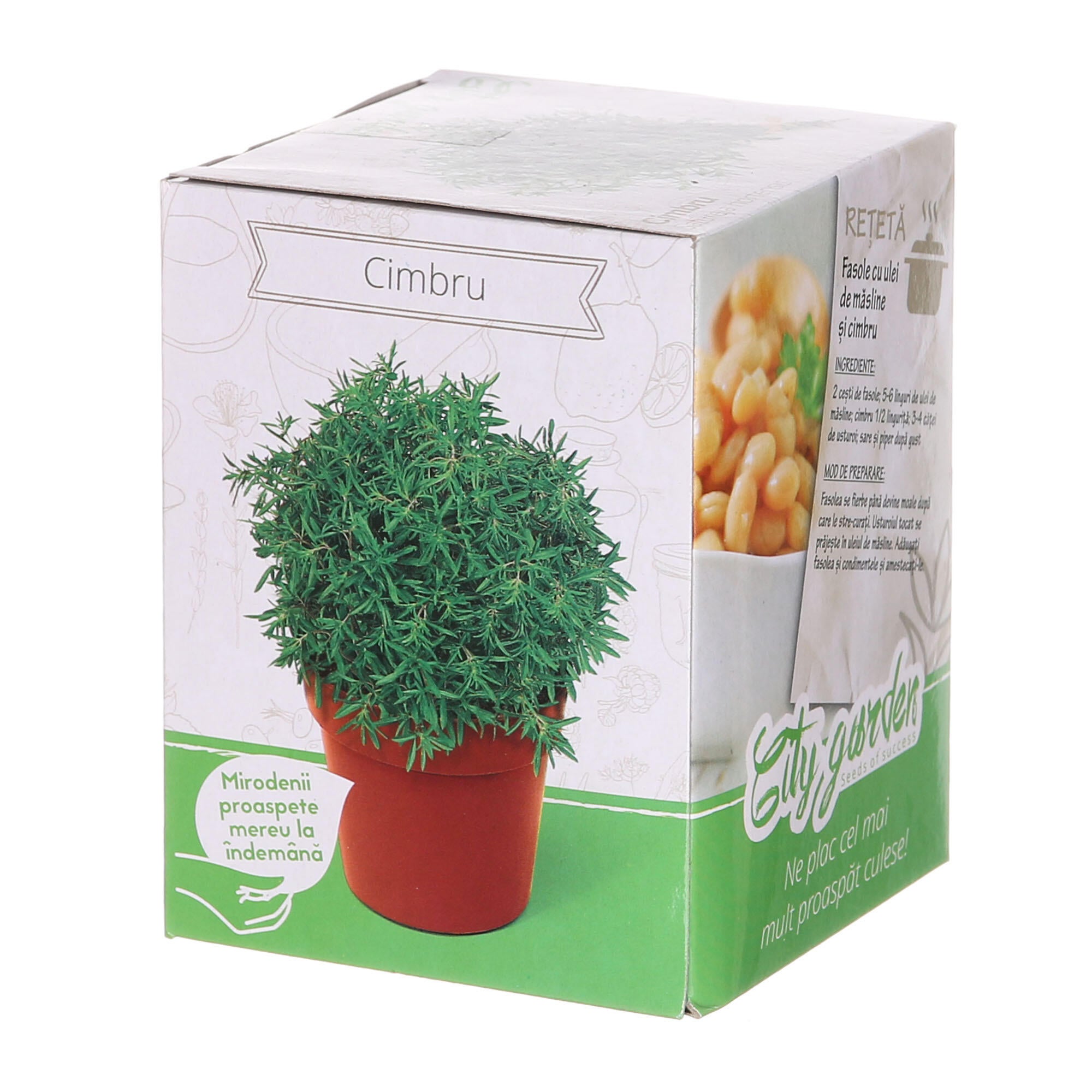 Set de cultivare in ghiveci, soi de cimbru, Satureja hortensis