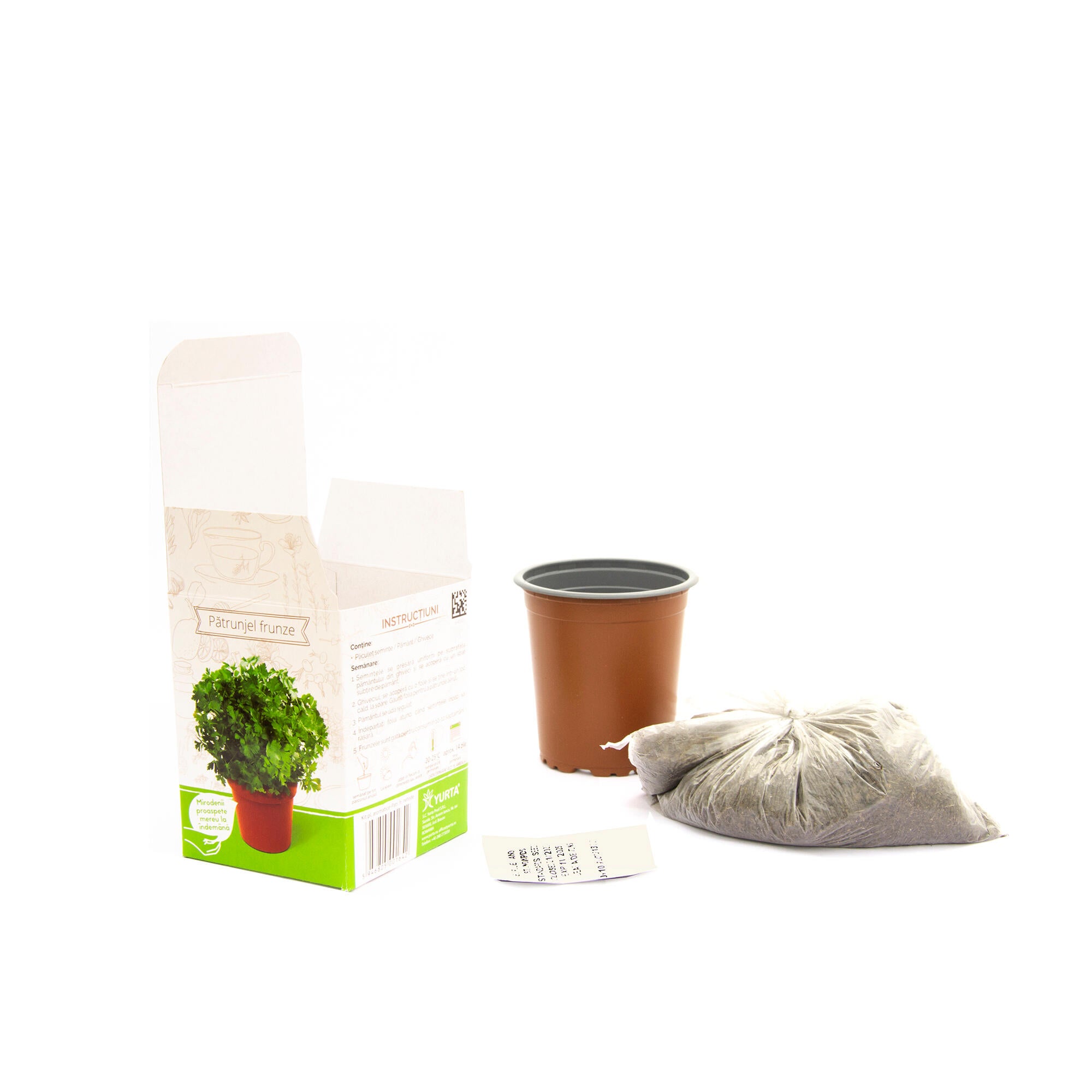 Set de cultivare in ghiveci, soi de patrunjel cu frunze netede, Petroselinum crispum