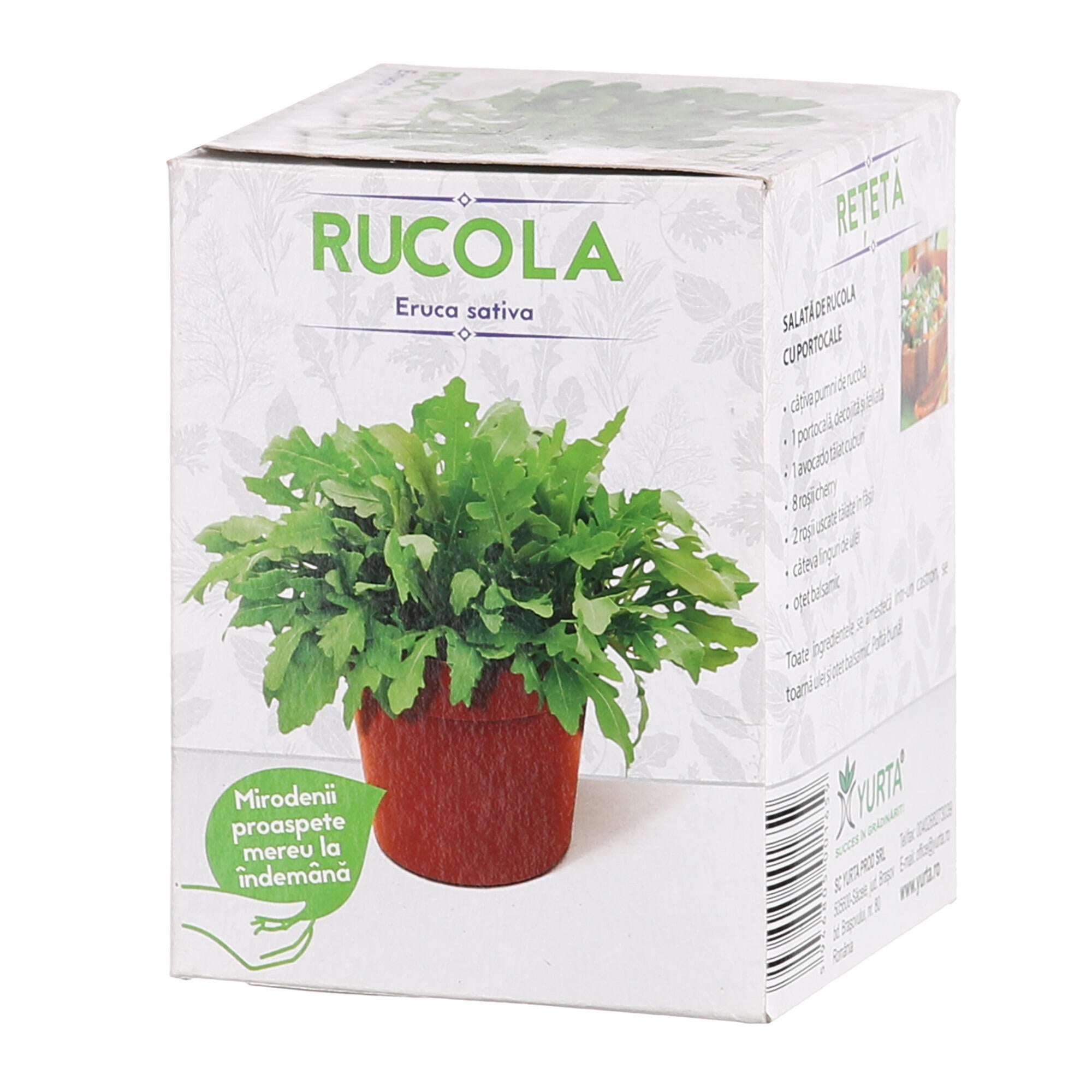 Set de cultivare in ghiveci, soi de rucola, Eruca sativa