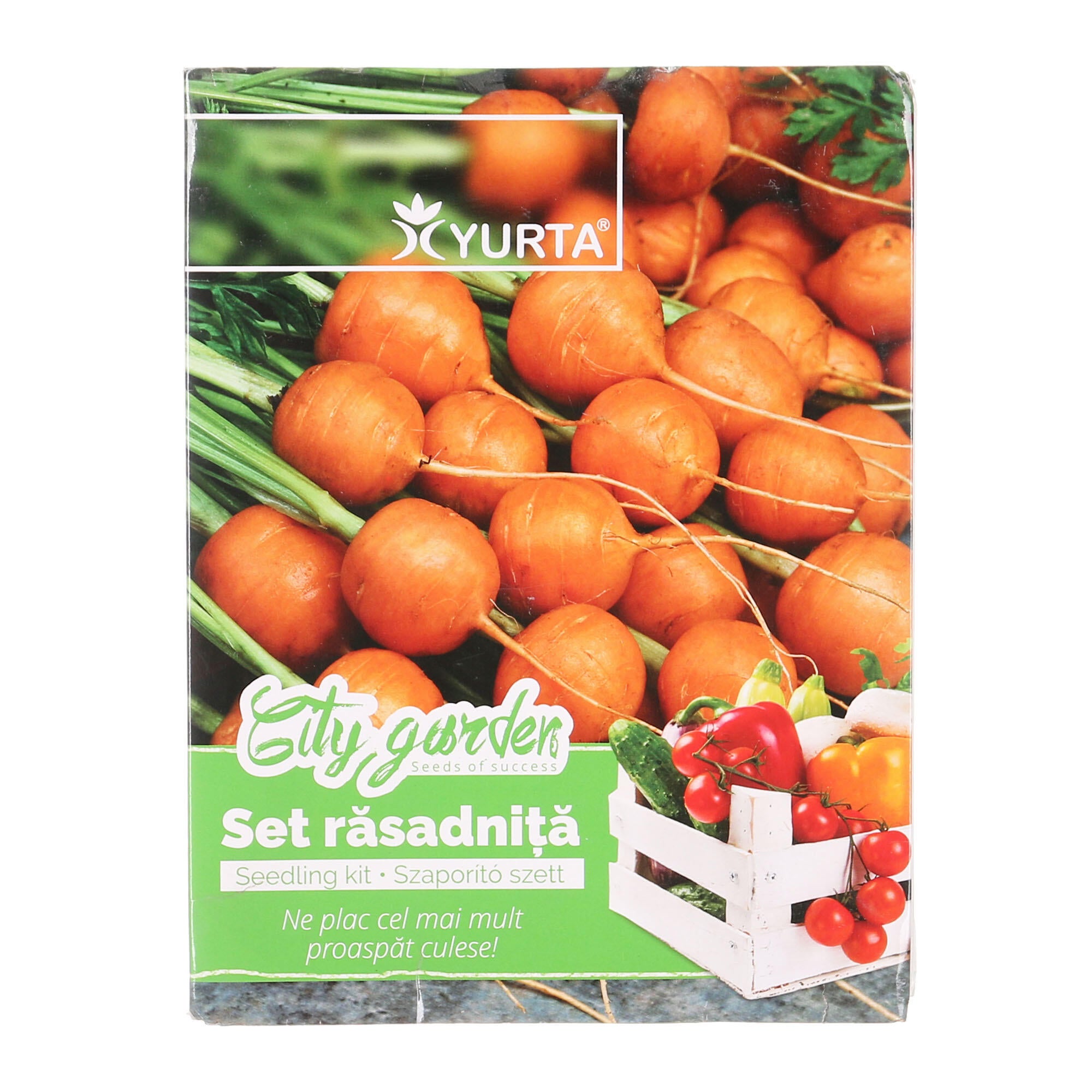 Set rasadnita, soi de morcovi mini, Daucus | Leroy Merlin