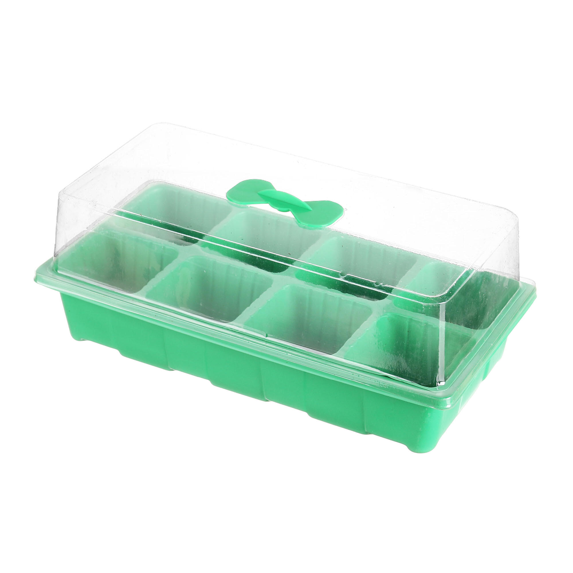 Set rasadnita, soi de ardei iute rosu, Capsicum annuum