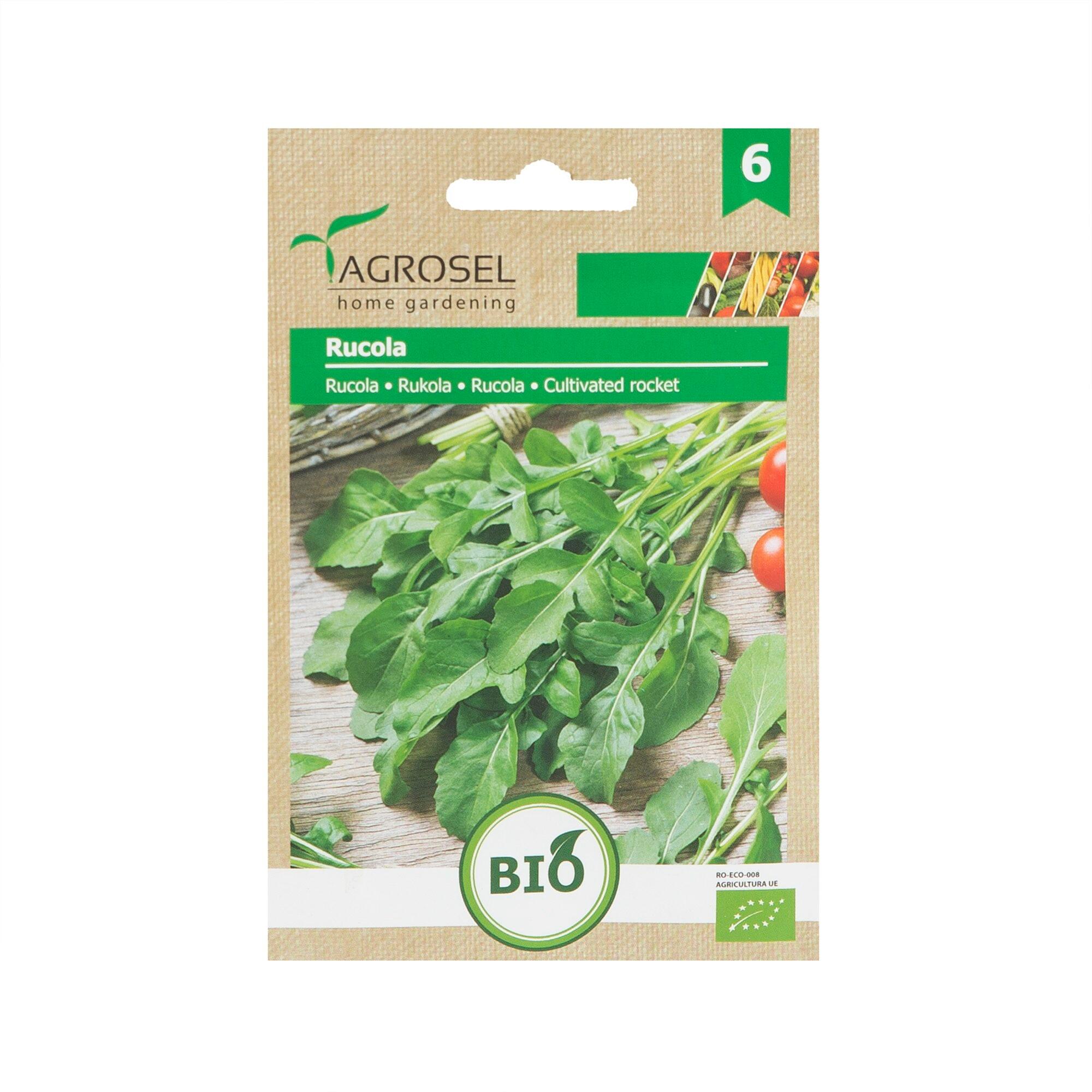 Seminte rucola eco | Leroy Merlin