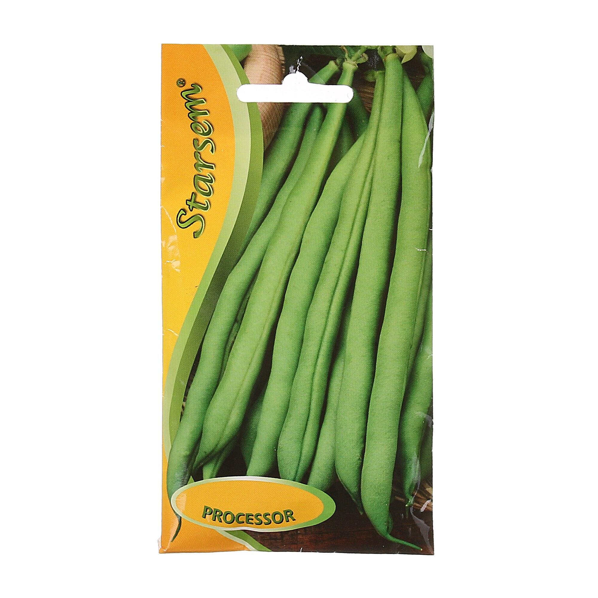 Seminte legume, fasole verde Processor, Starsem