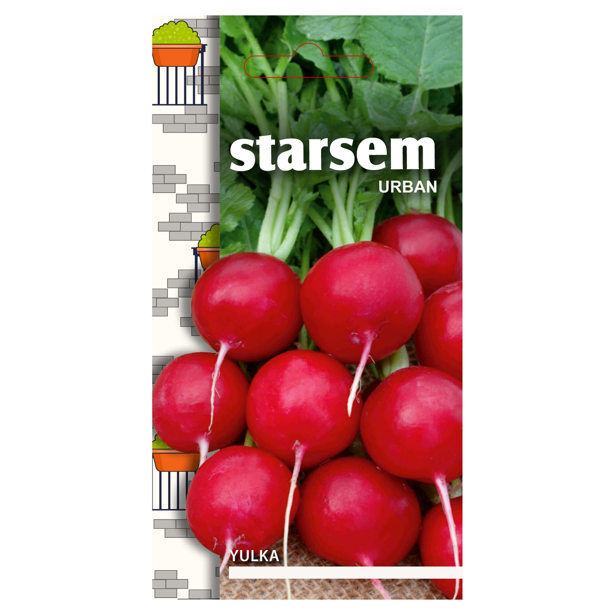 Seminte legume, ridiche Yulka, Starsem