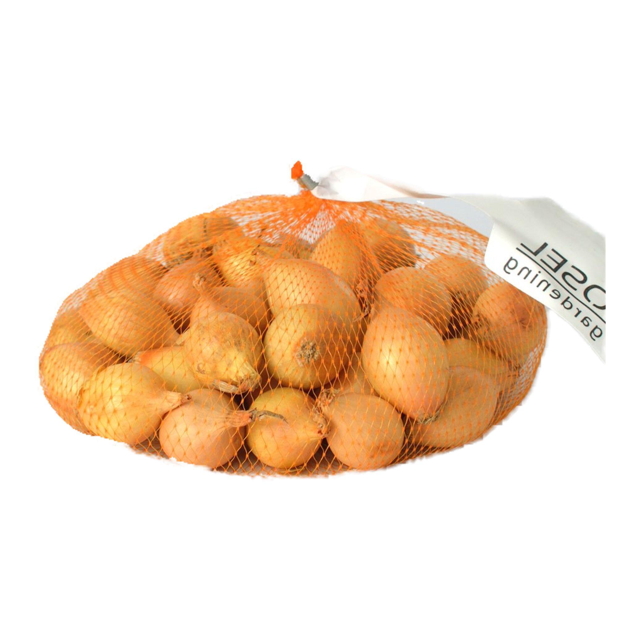 Rasad pentru plantare, soi de arpagic galben, rotund, 8 - 21 mm, 0.35 kg