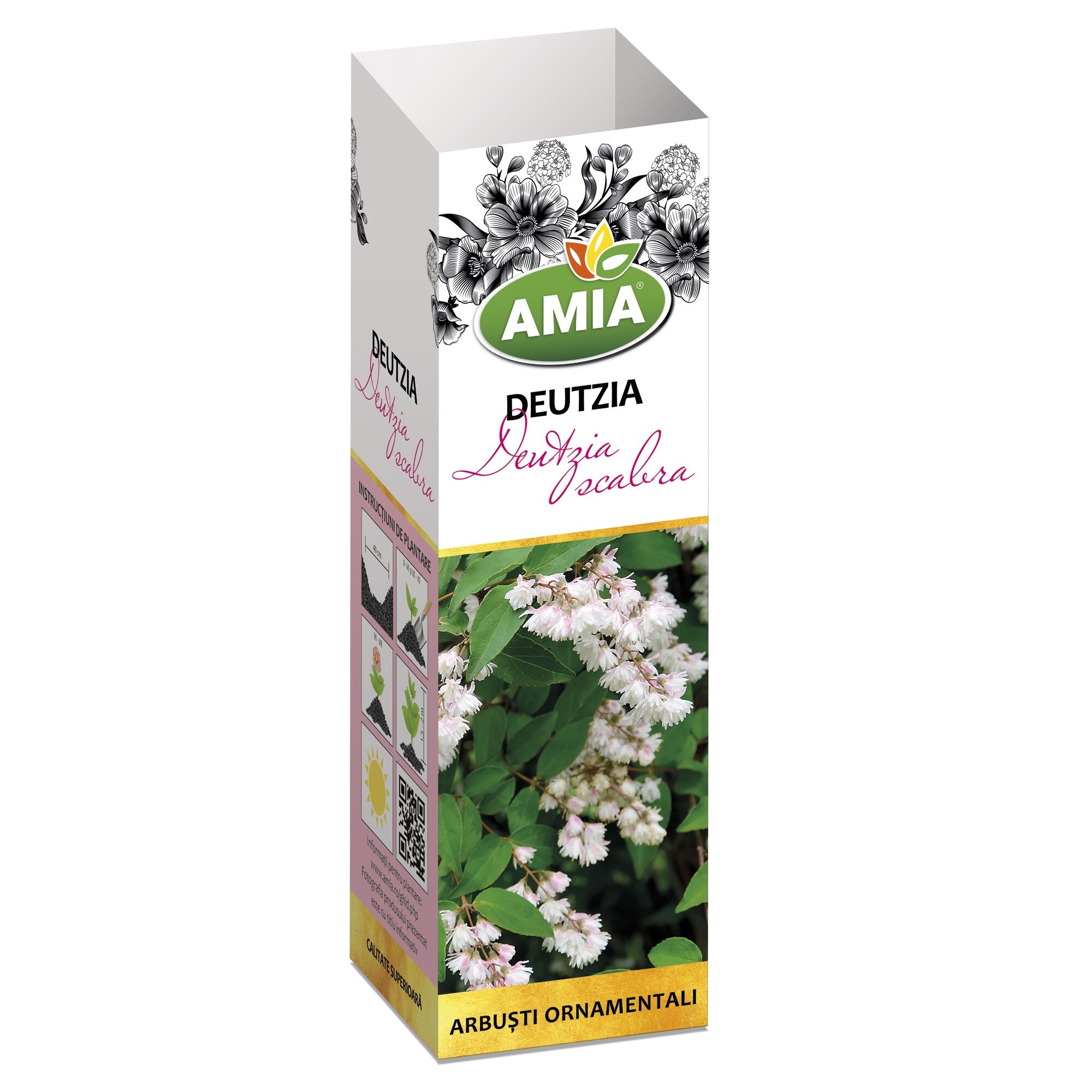 Arbust ornamental cu flori, Deutzia Scabra, alb