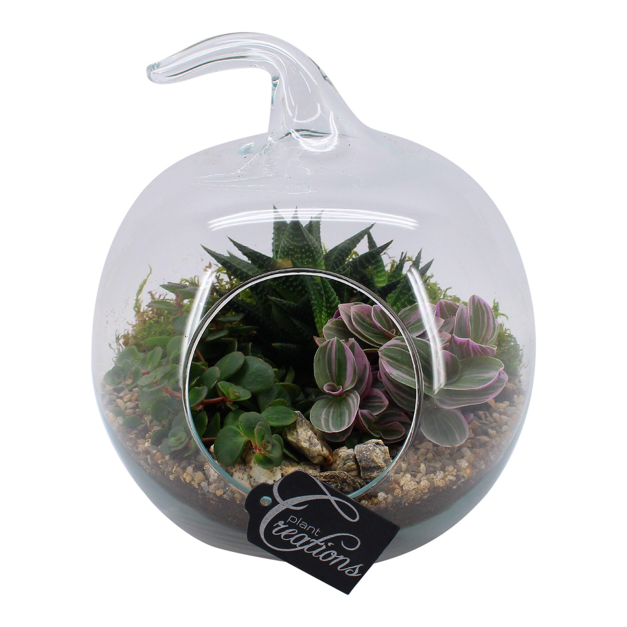 Aranjament floral, terrariu, in vas sticla, forma mar, Ø 20 cm