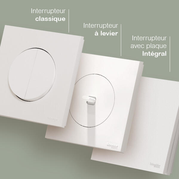 Module Design Interrupteur Double interrupteur va-et-vient/pouss. Intégral Odace, SCHNEIDER ...