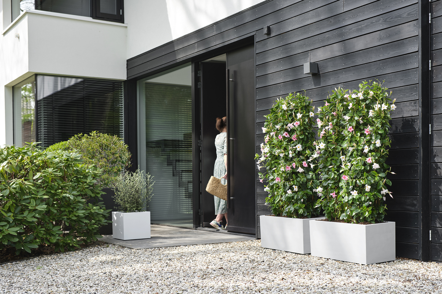Jardinera rectangular de polipropileno ELHO Vivo Next 60 x 29.2 x 22.8 cm blanco con ruedas - 6