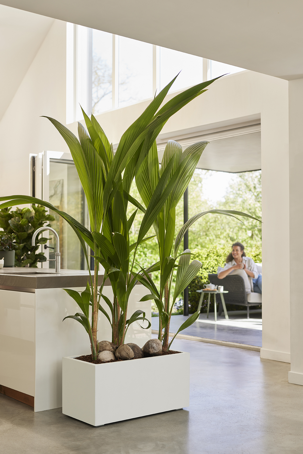 Jardinera rectangular de polipropileno ELHO Vivo Next 60 x 29.2 x 22.8 cm blanco con ruedas - 5