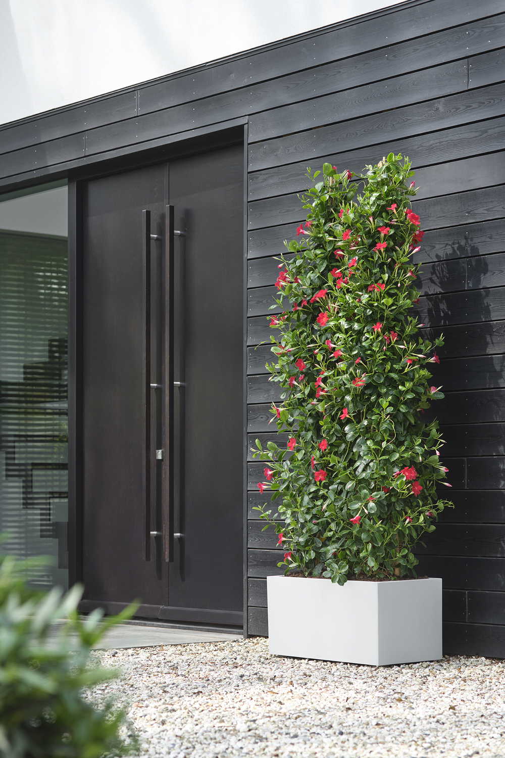 Jardinera rectangular de polipropileno ELHO Vivo Next 60 x 29.2 x 22.8 cm blanco con ruedas - 2