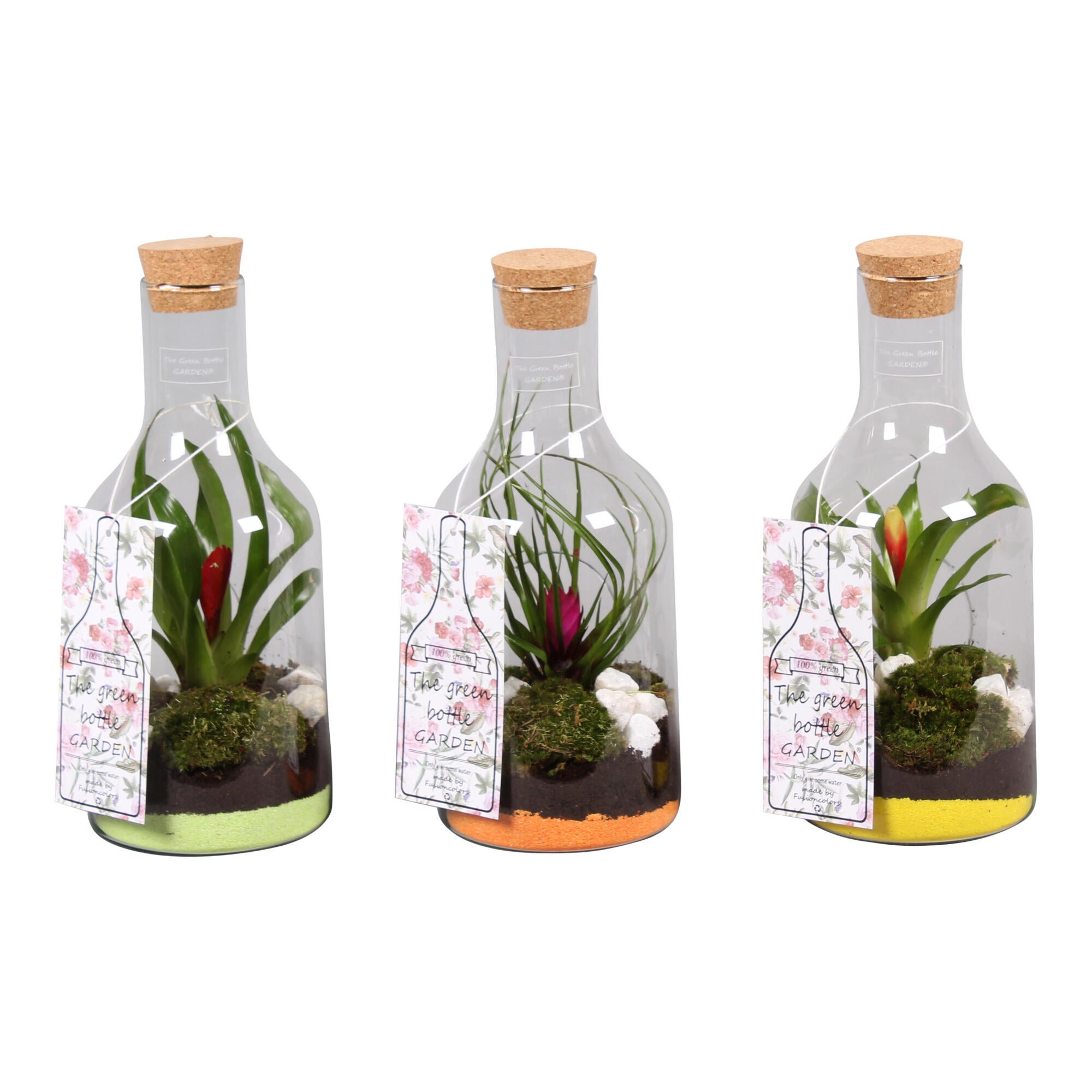 Aranjament floral Bromelia, in sticla, H 31 - 45 cm, Ø sticla 15 cm, diverse culori