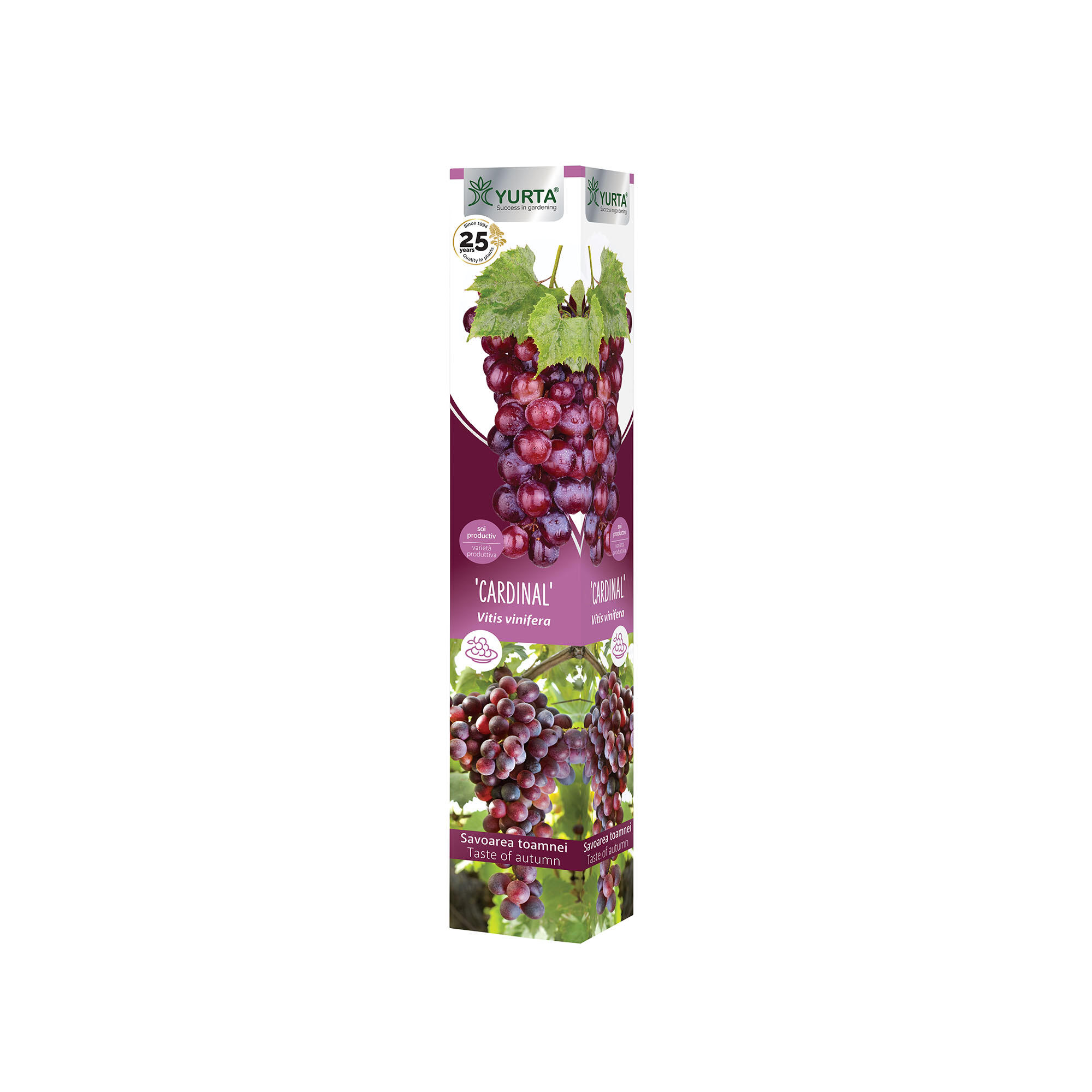 Butas vita de vie altoita, soi Cardinal, H 40-60 cm, rosu