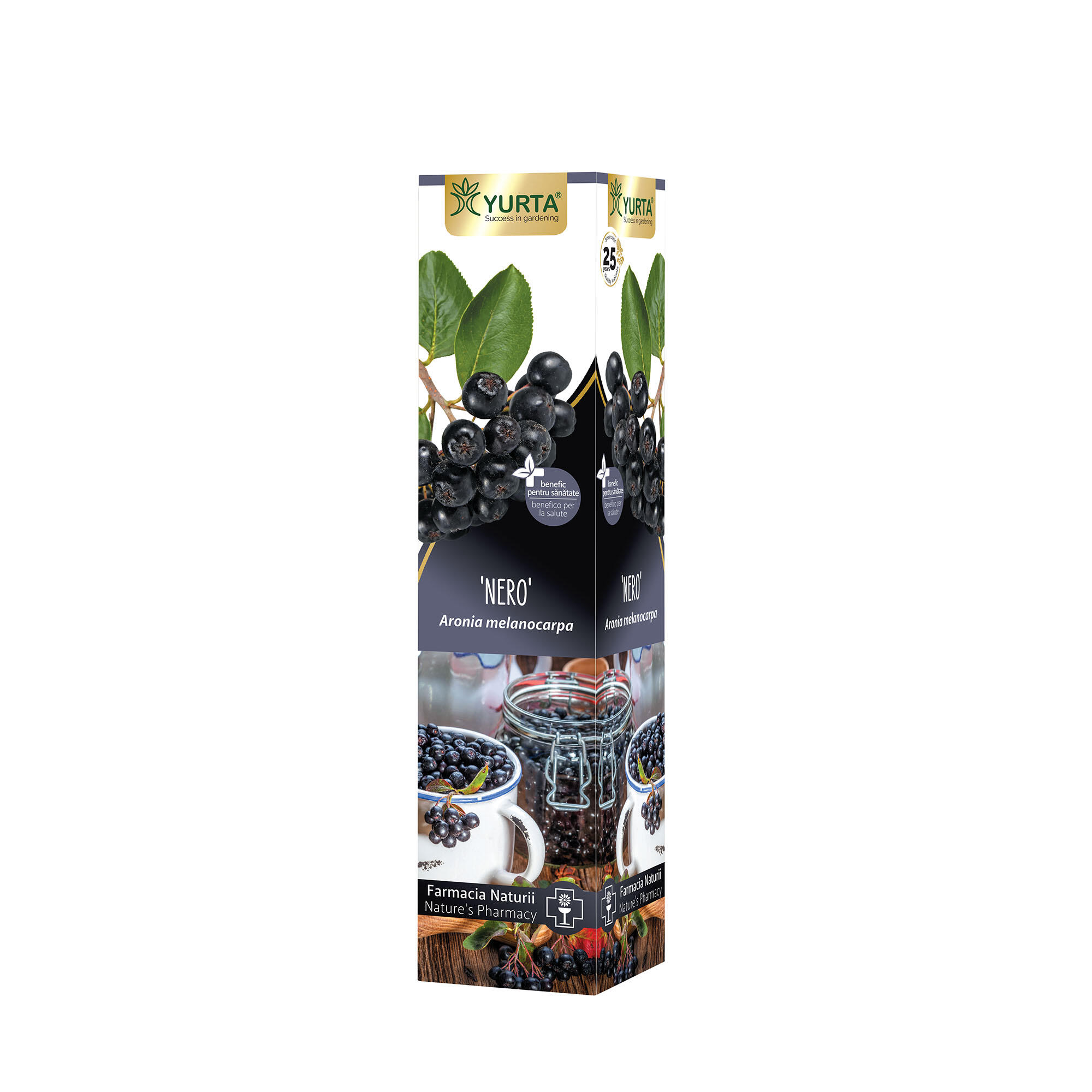 Arbust fructifer aronia Nero, H 41-60 cm, negru