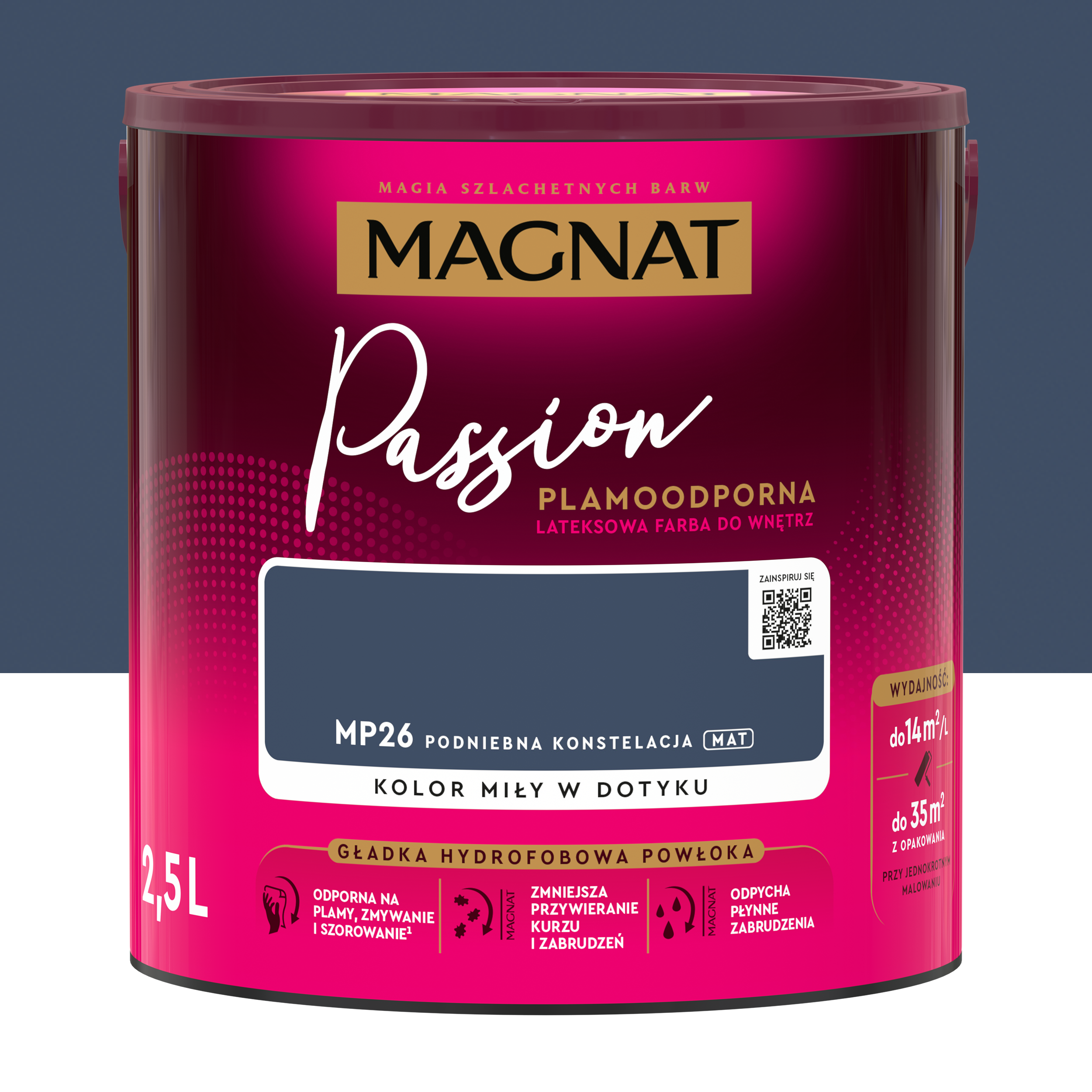 Podniebna konstelacja