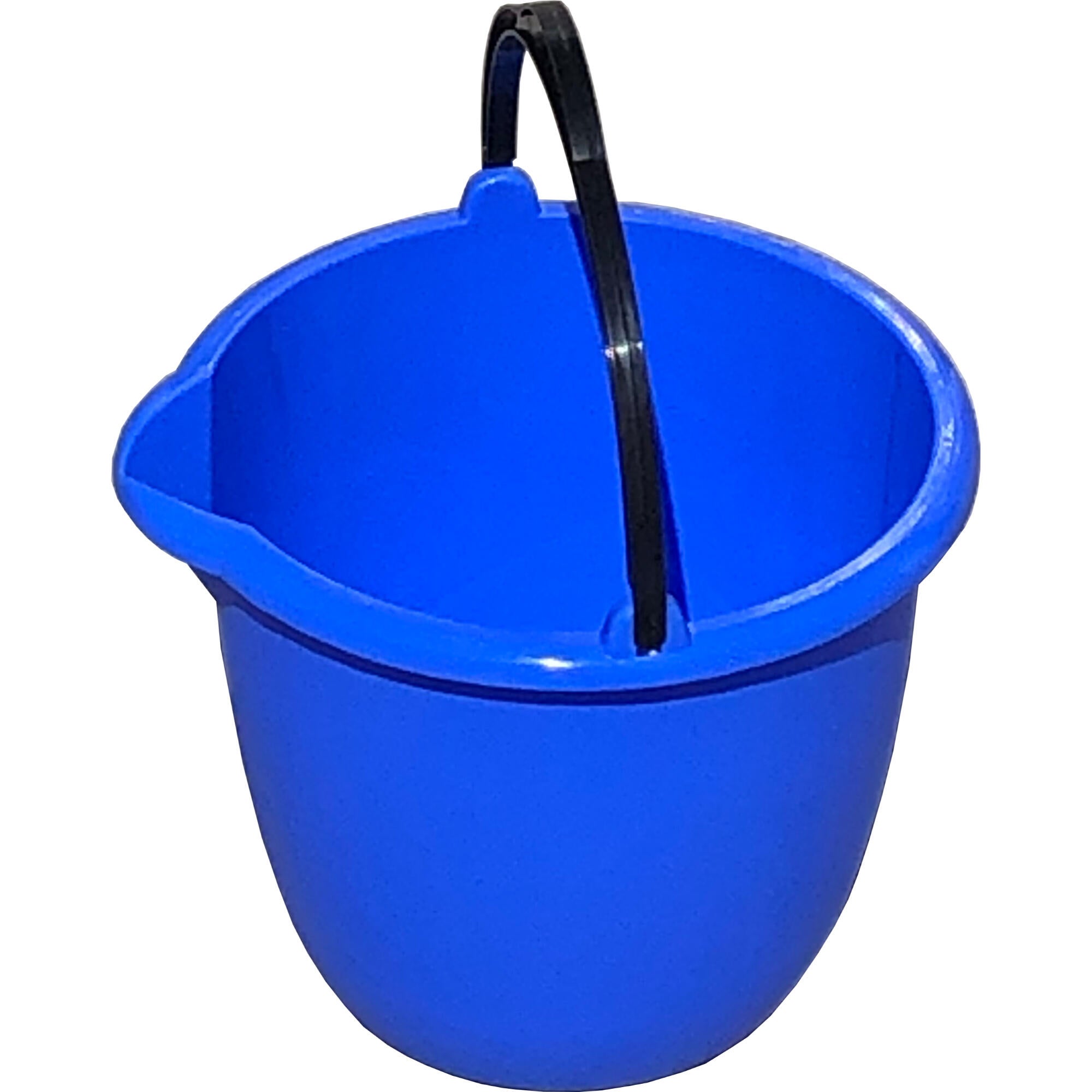 Galeata fara capac, cu cioc, 5 L, Agora Plast, albastra