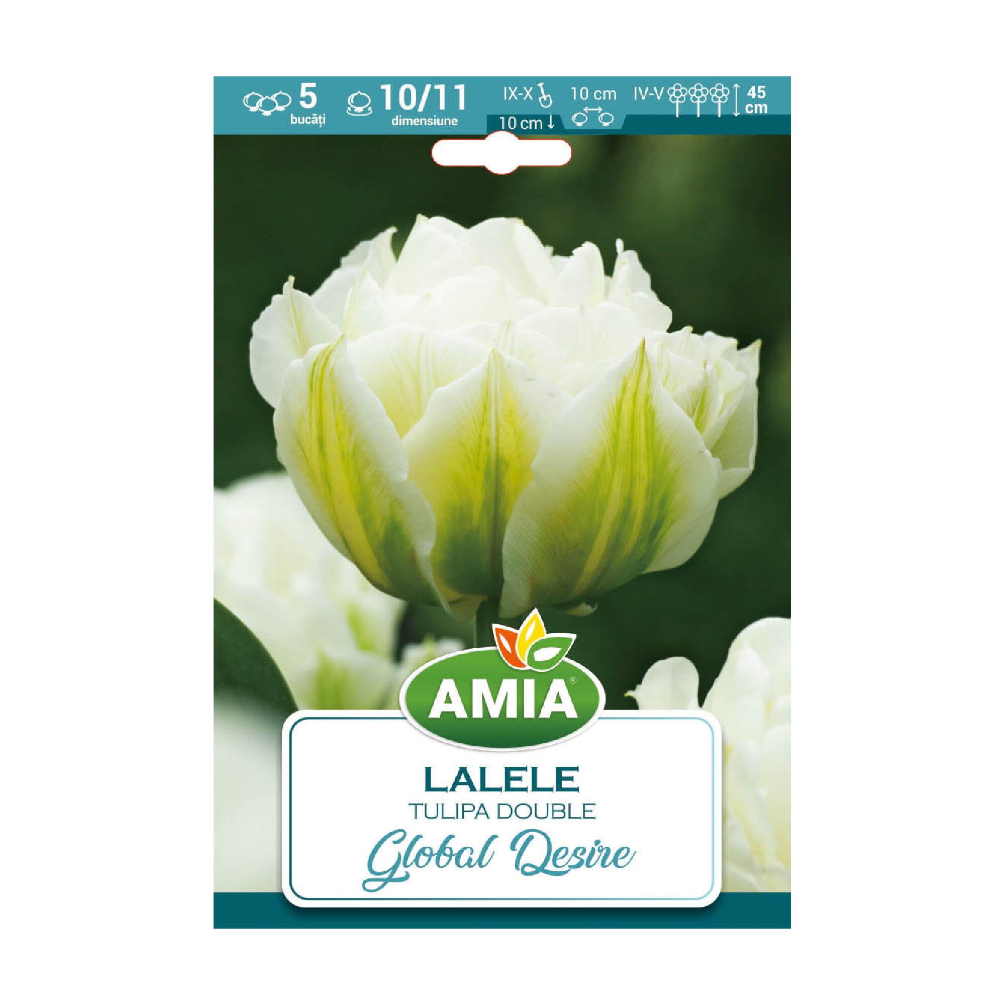 Bulbi lalea Global Desire, Amia, alb (5 buc)